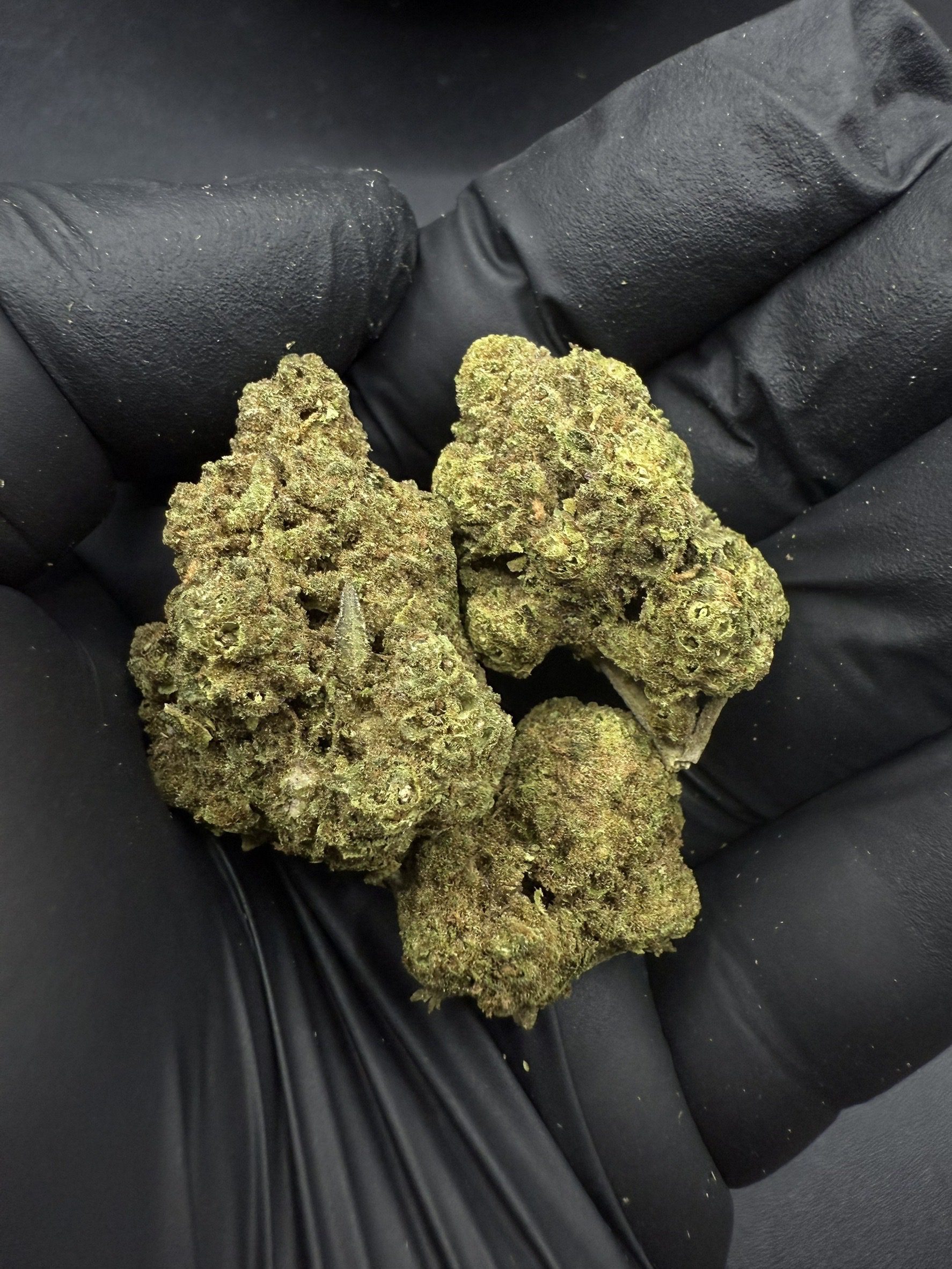 Miracle Fruits
