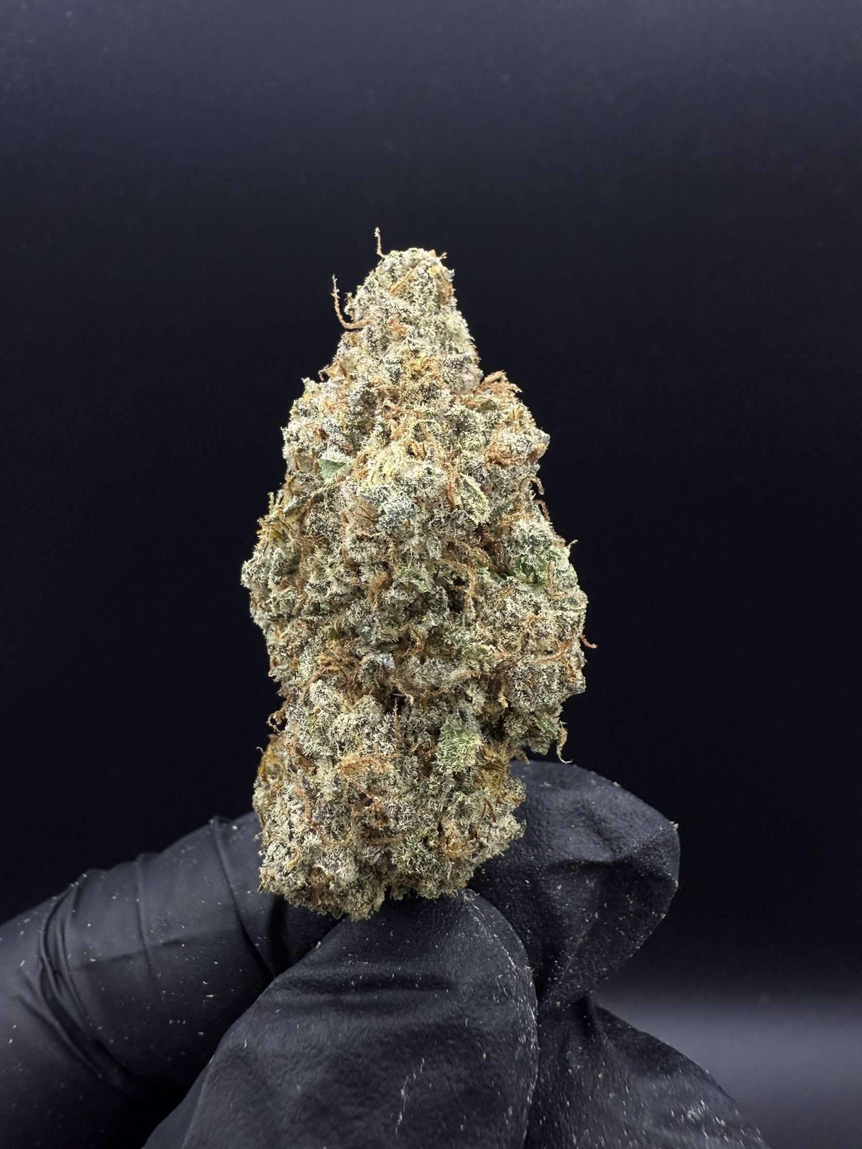 Columbian Gold