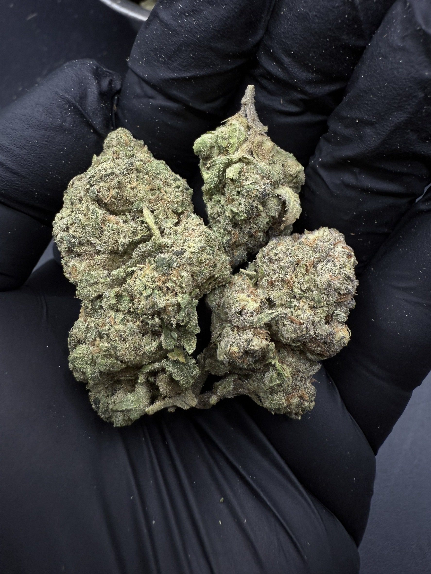 Bubba Kush