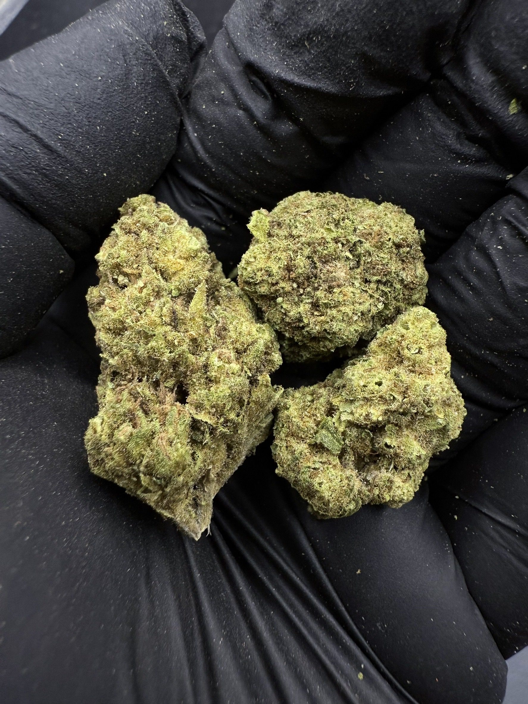 Zombie Bride
