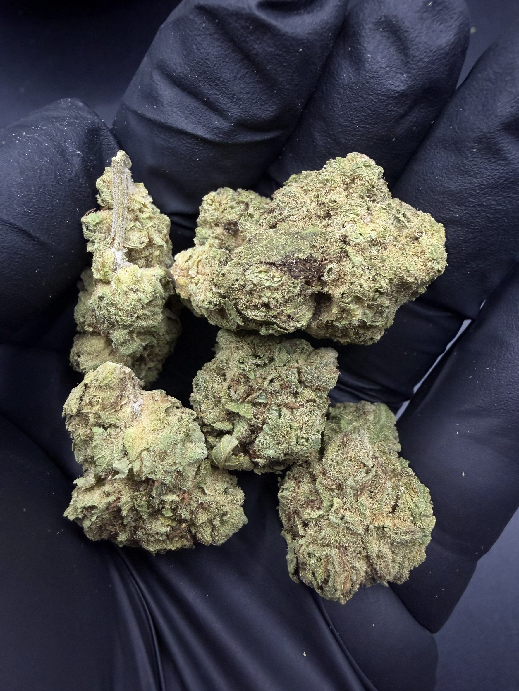 Cookies Kush