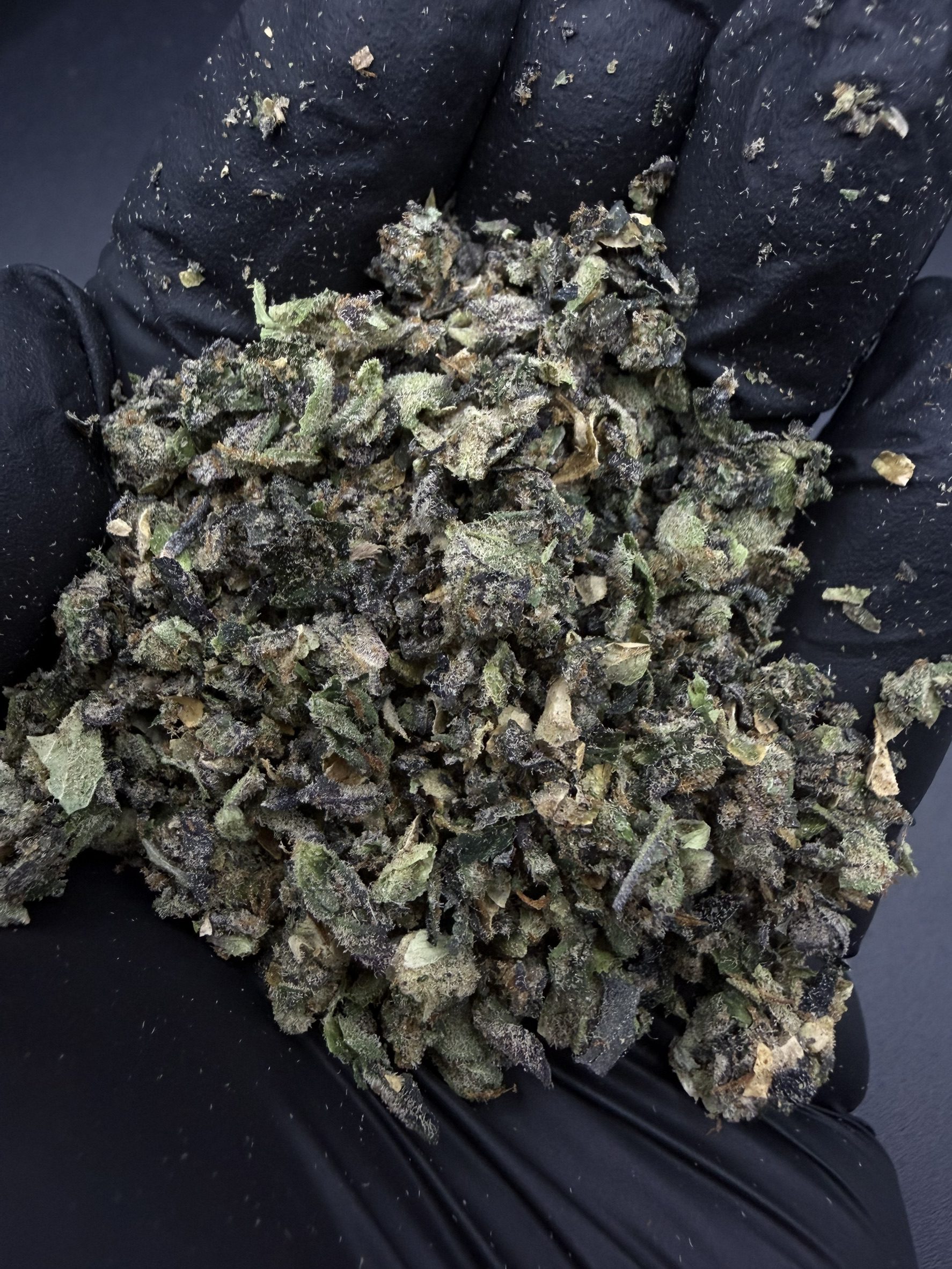 Trim Gelato Cookies