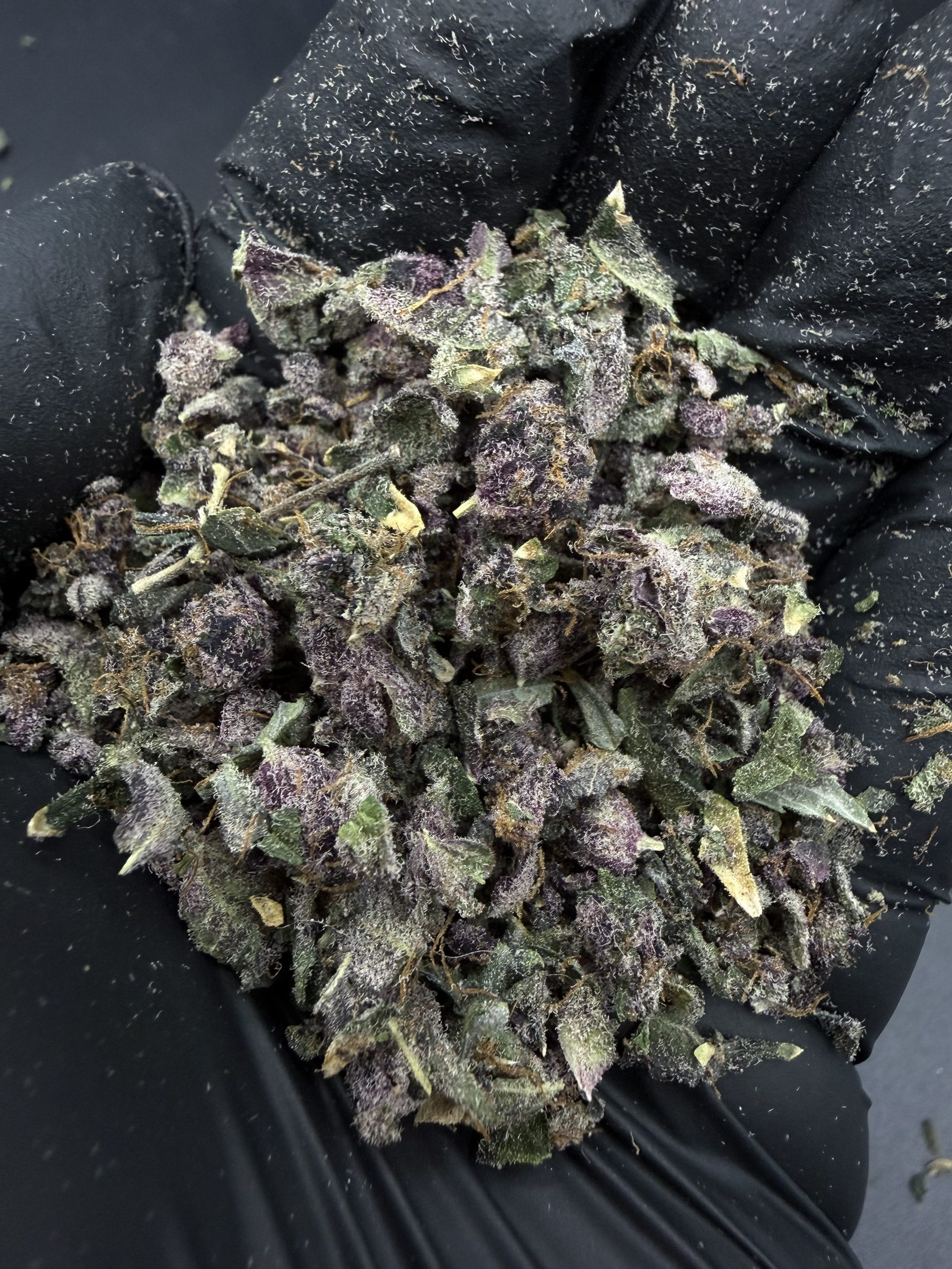 Trim Tropical Fruits