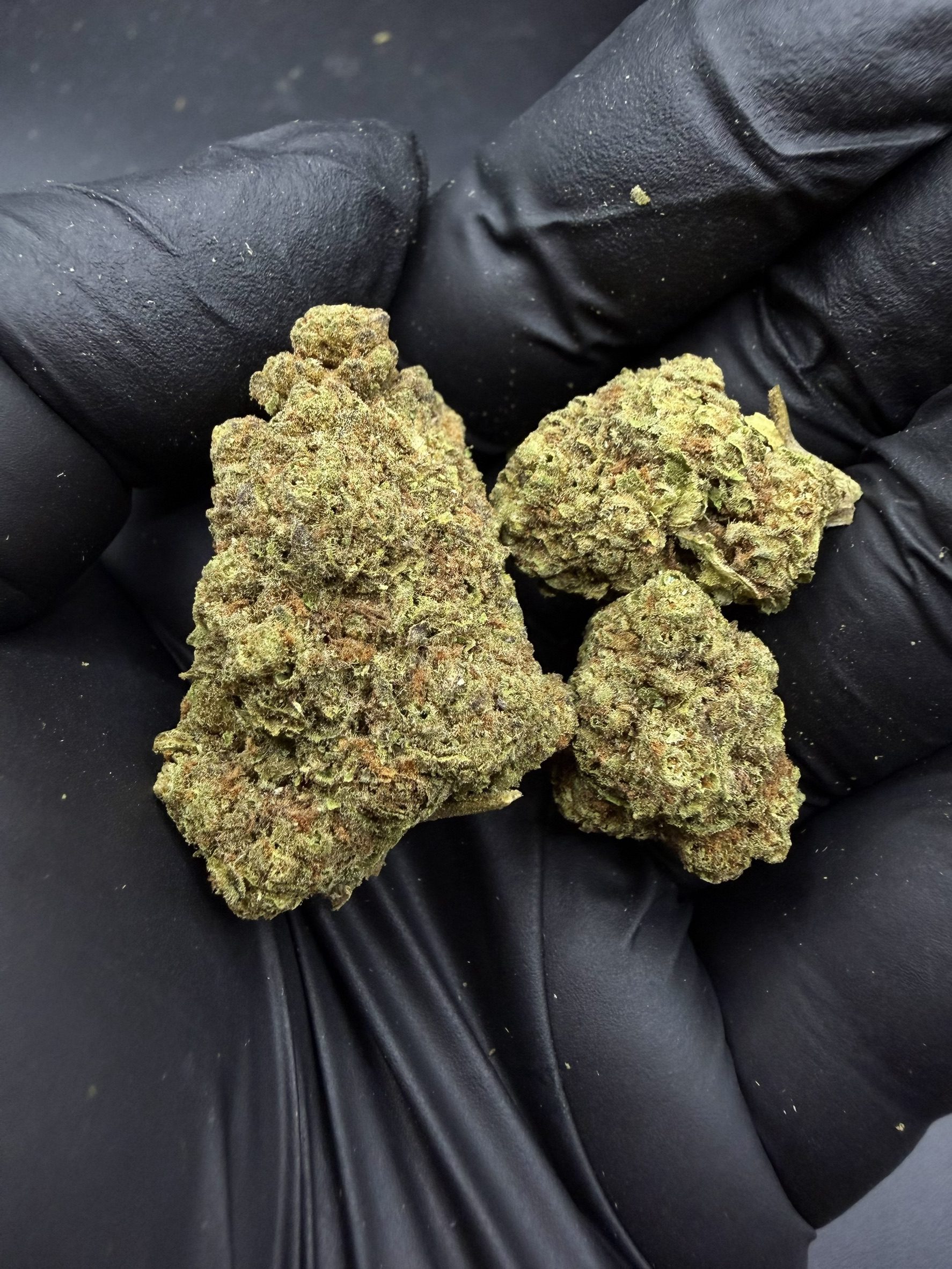 Big Lemon