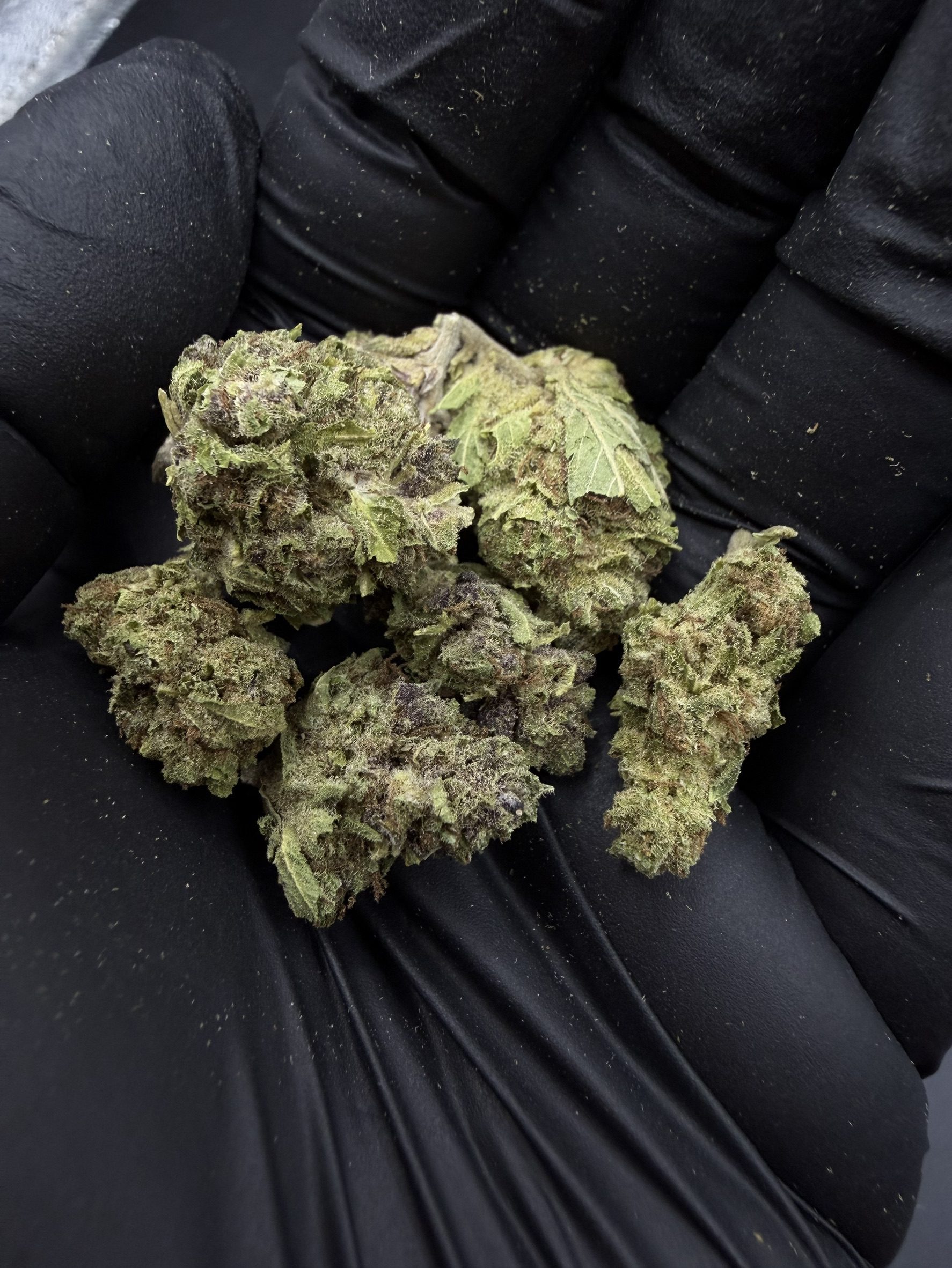 Purple Cake