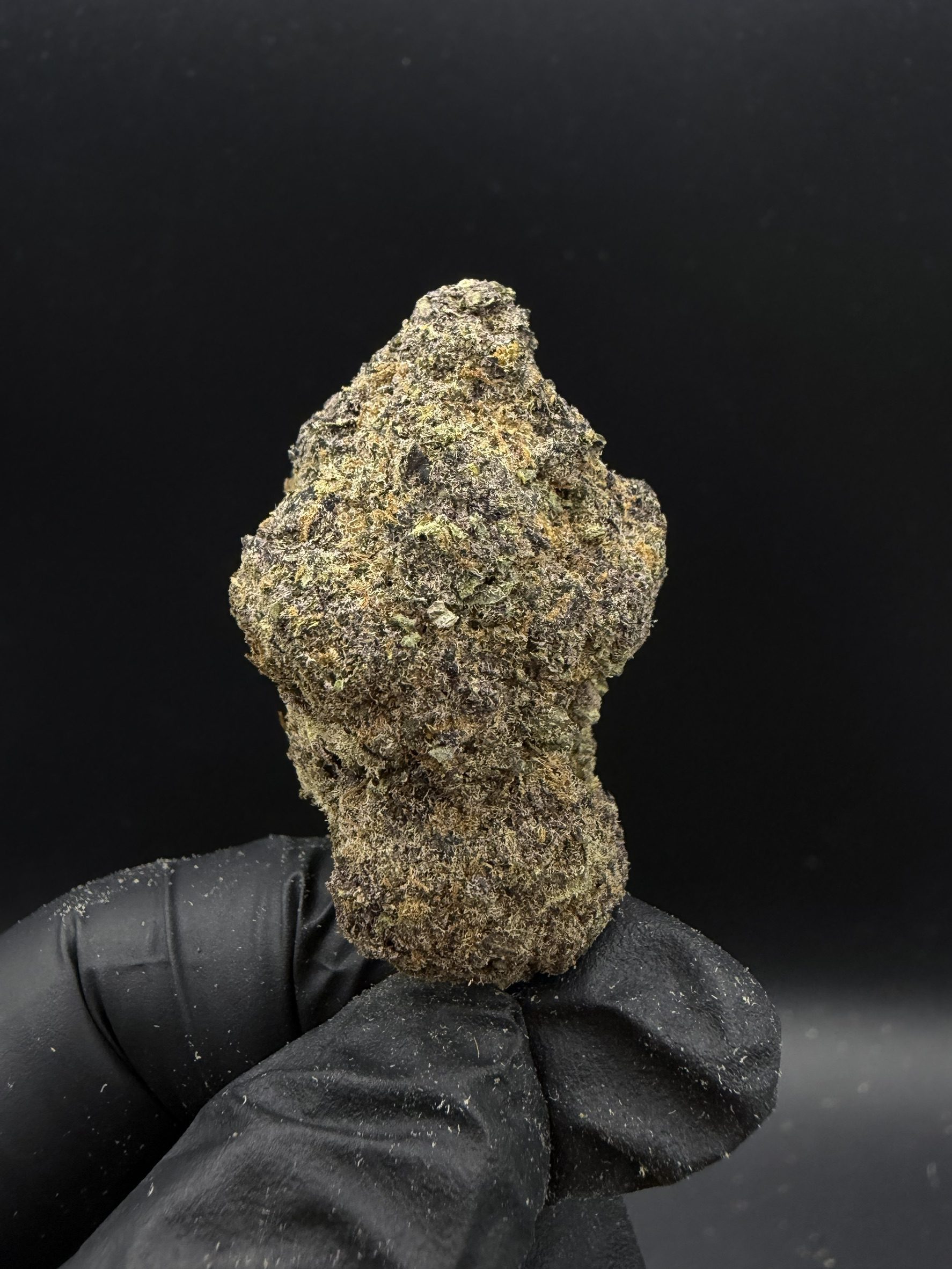 Purple Kush