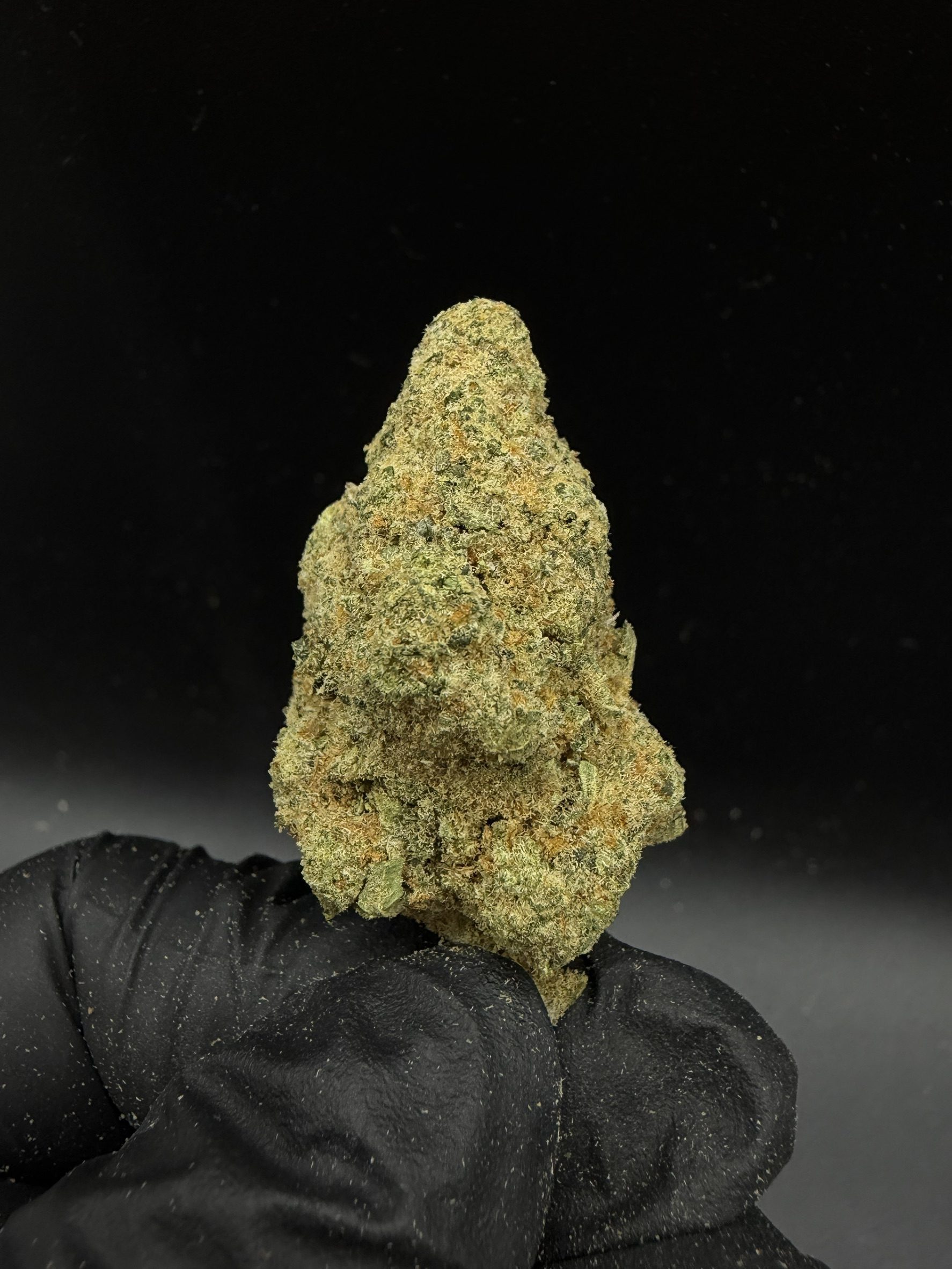 Skunk+