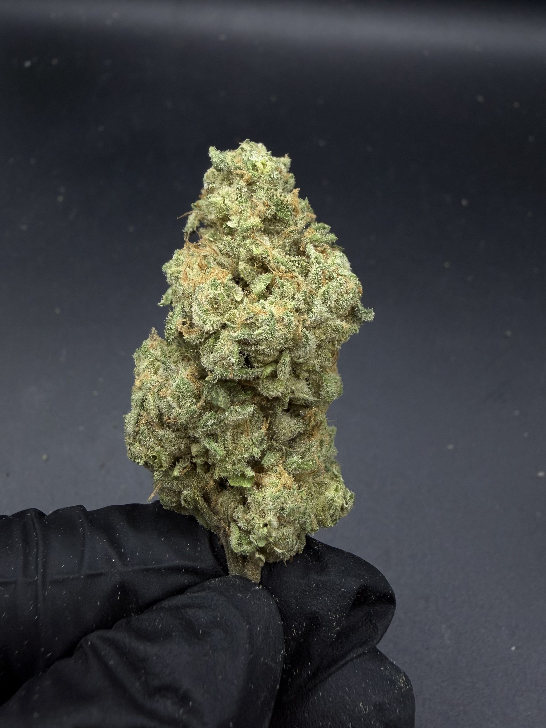 Godfather OG