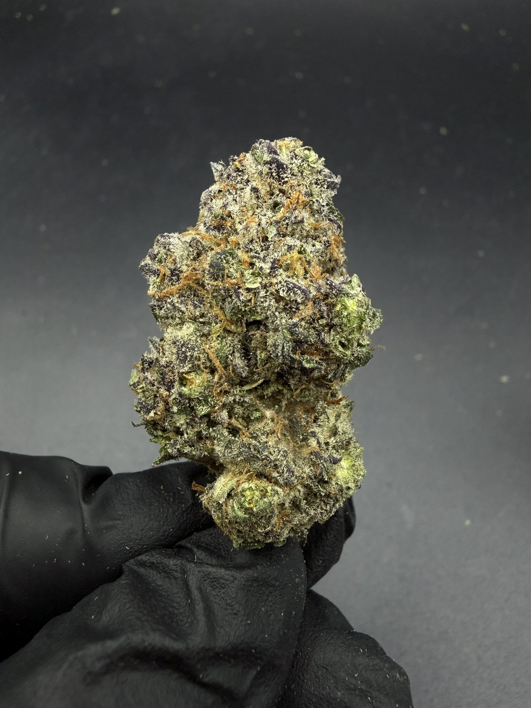 Blueberry Bang Bang