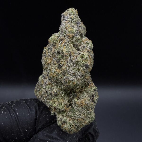 Frosted Boof
