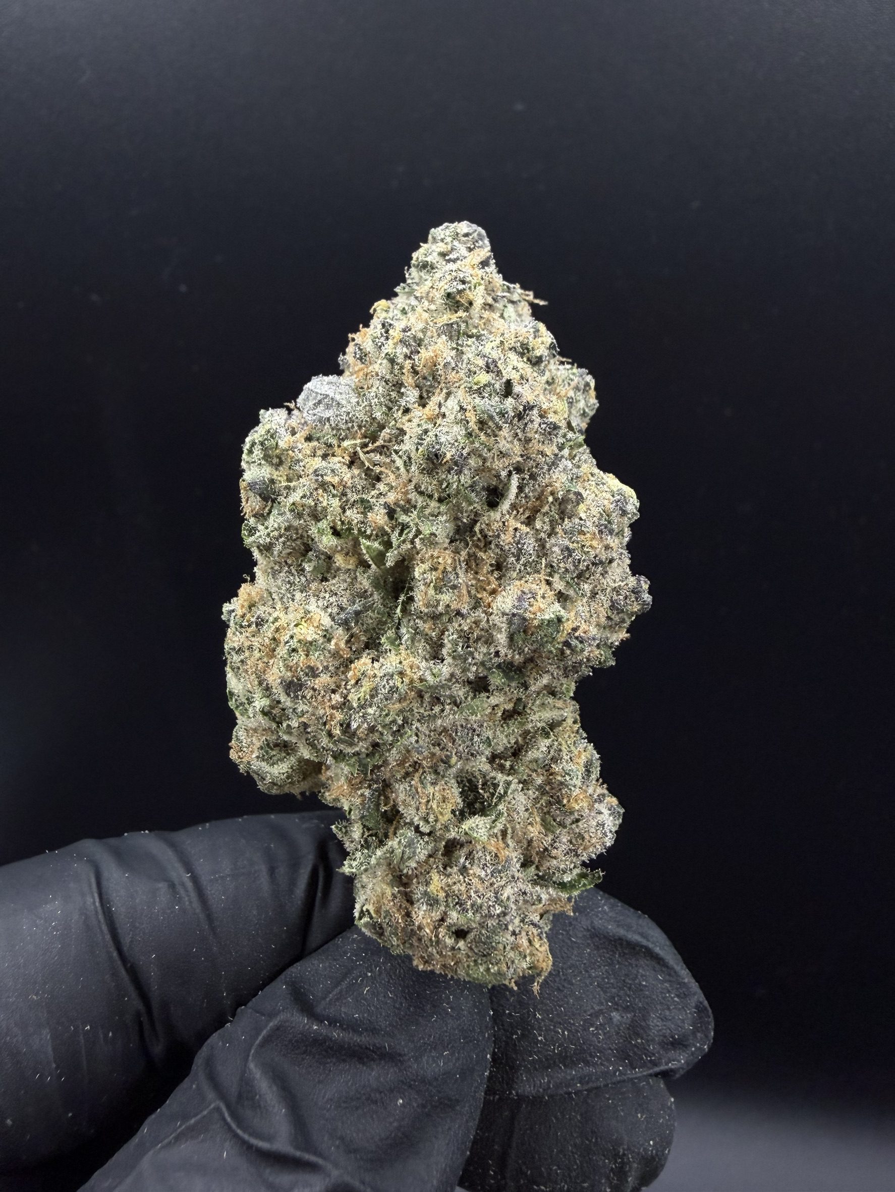 Orange Zkittlez