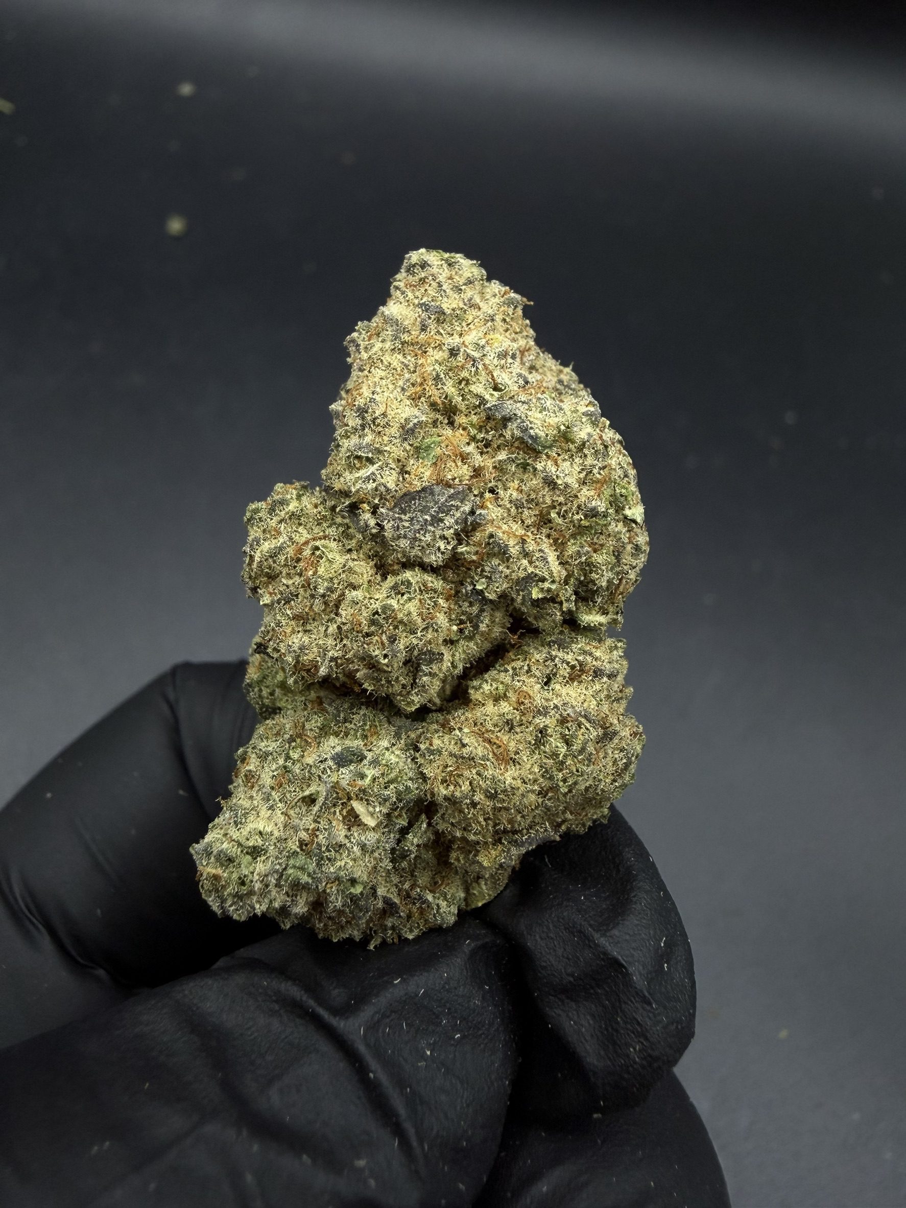 Kaia Kush