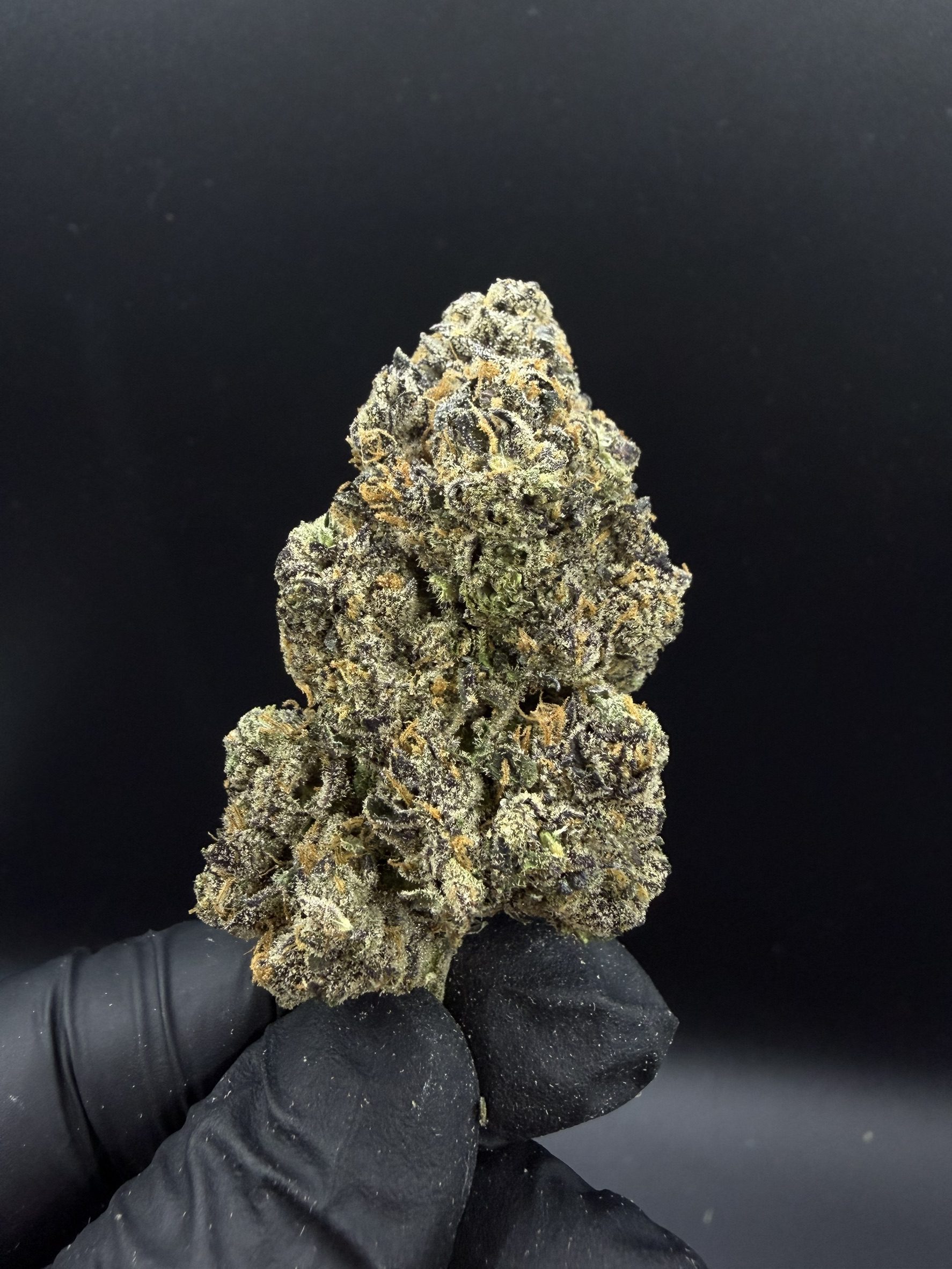 Oreoz Big Stuff S1