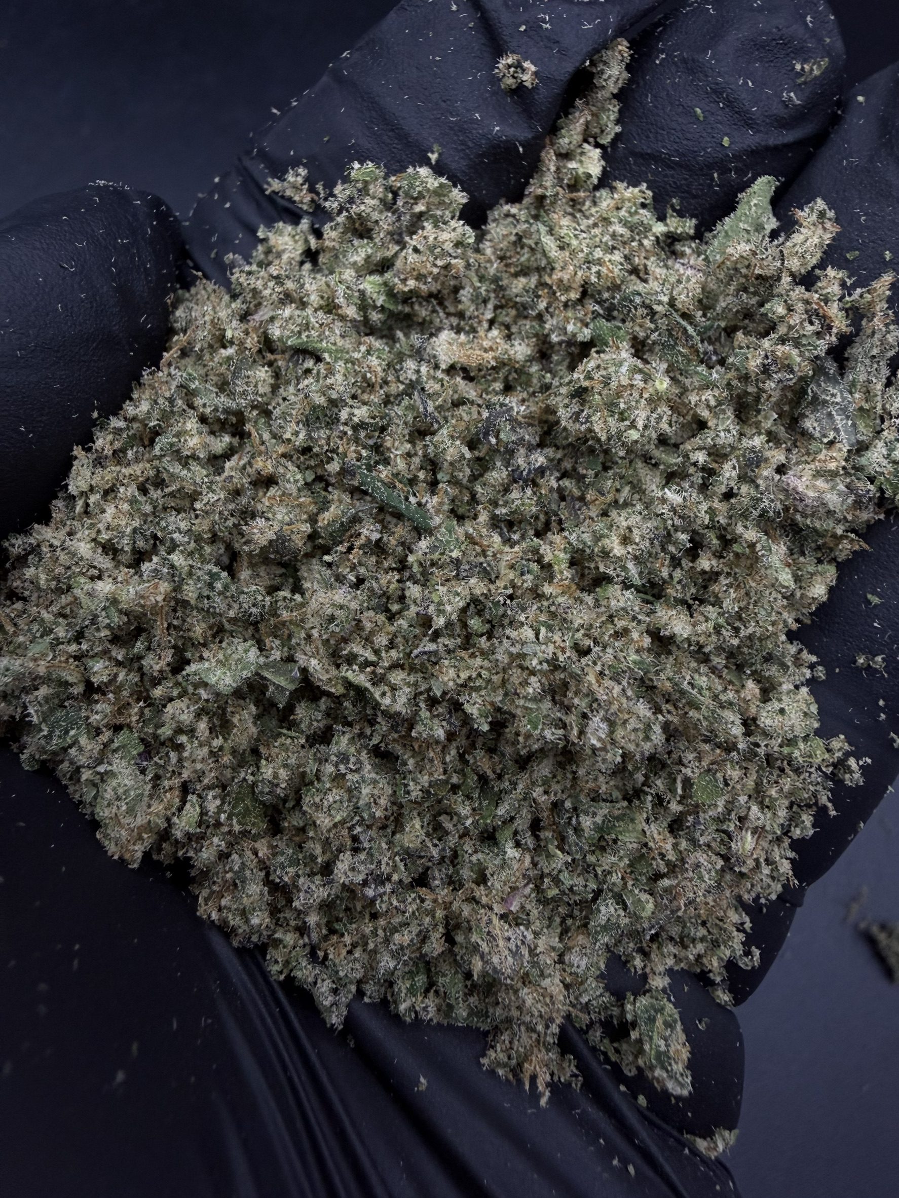 Trim Frosted Boof