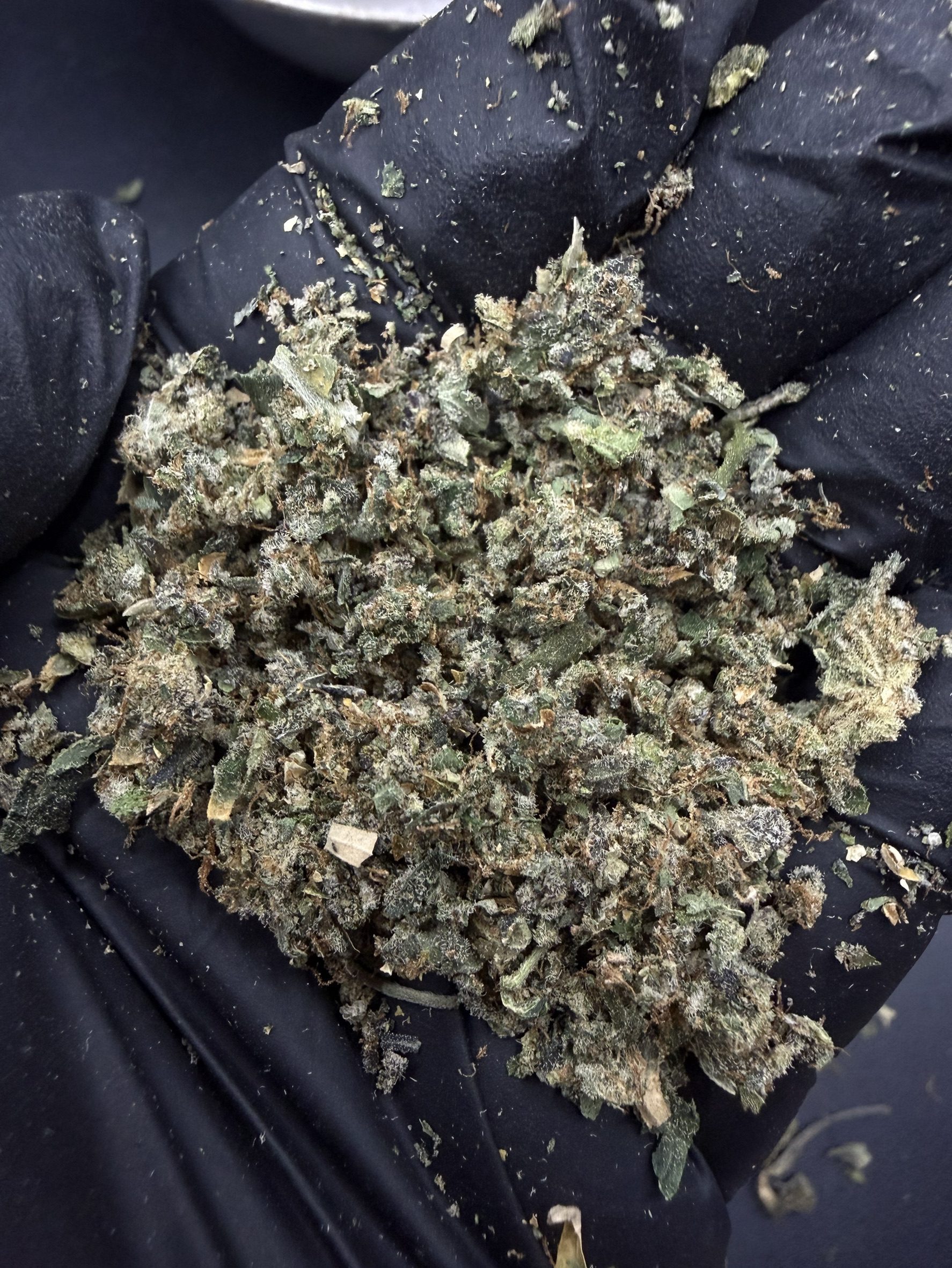 Trim Brr Berry