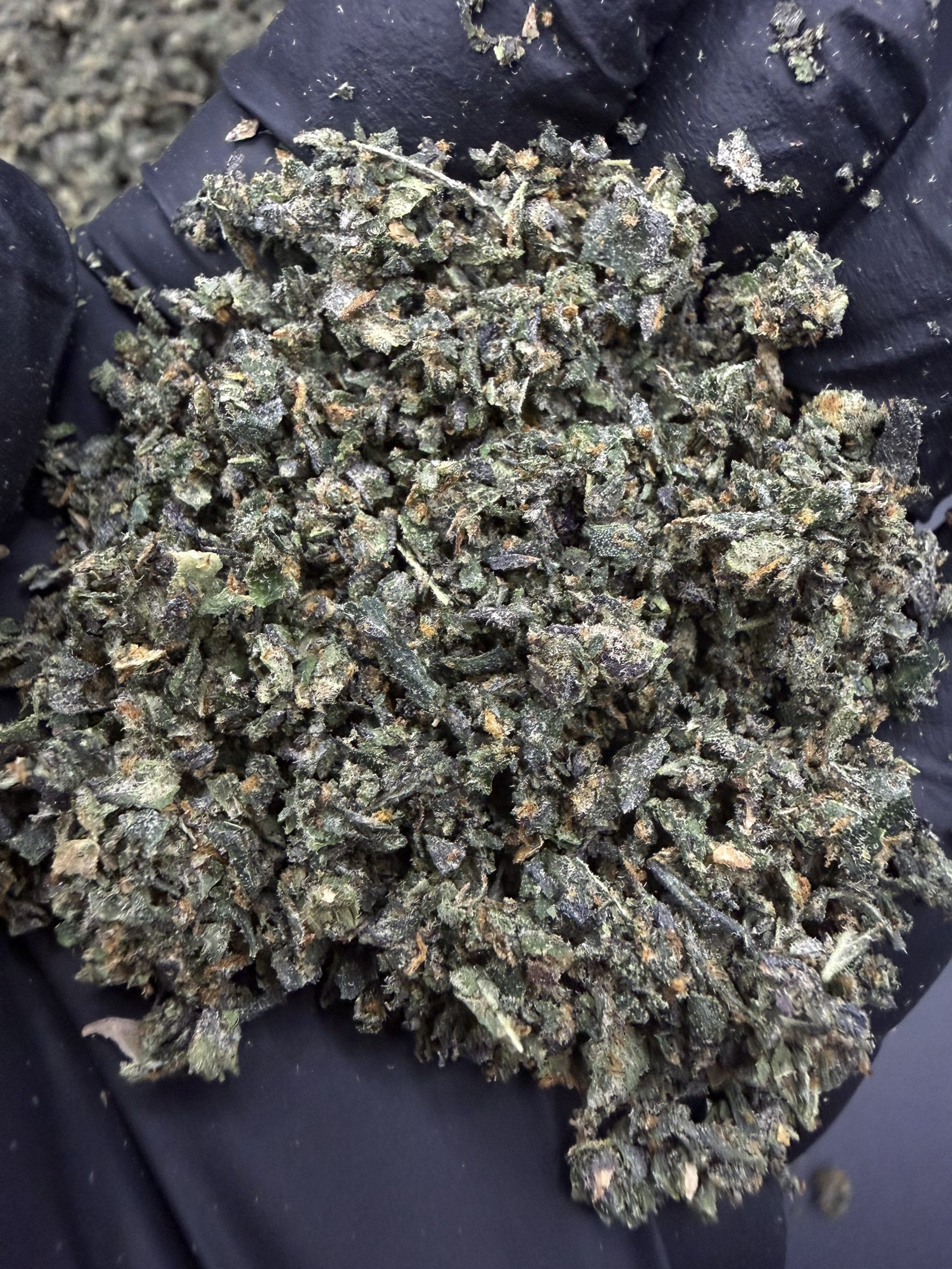 Trim White Runtz