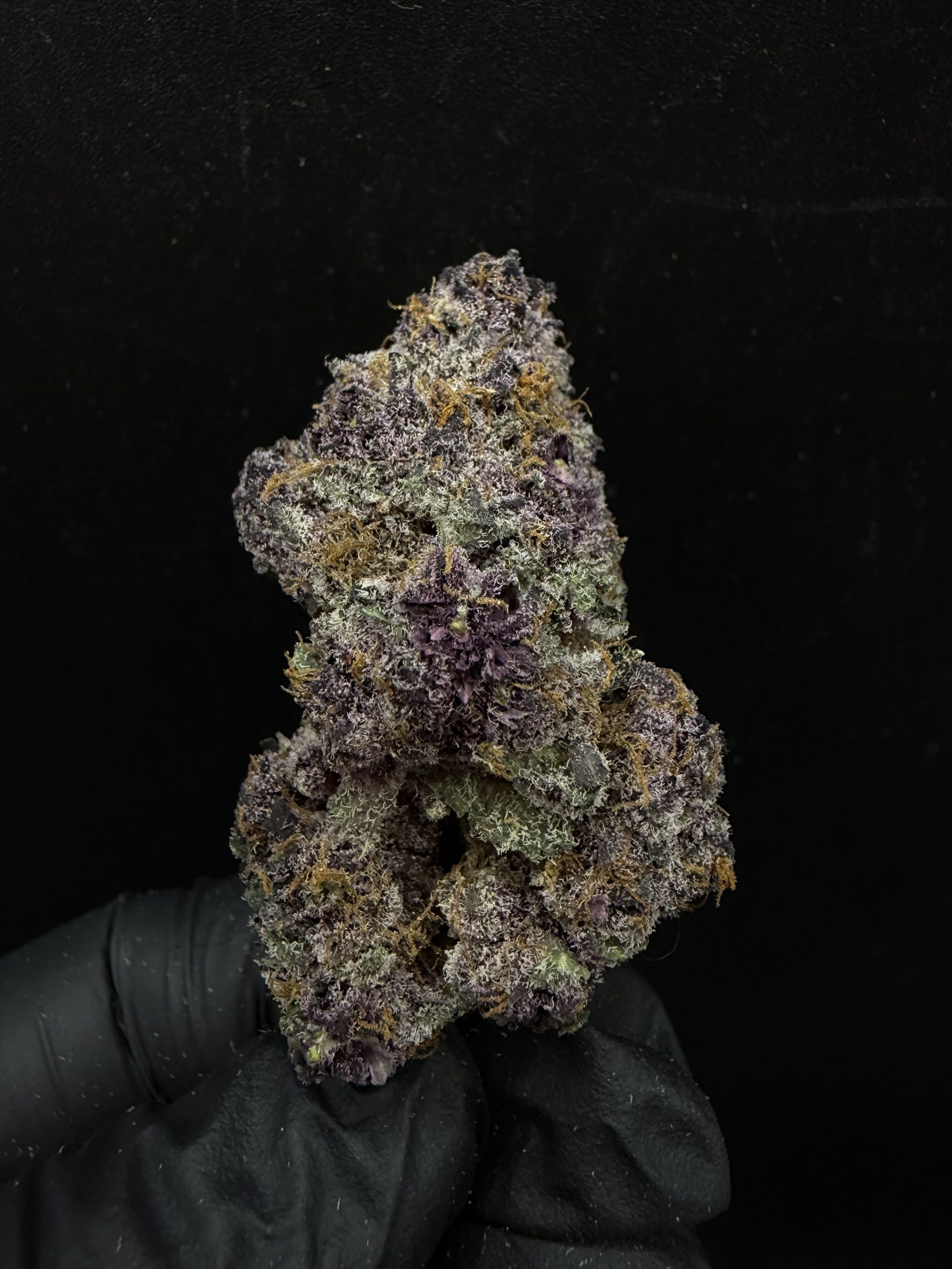 Tropicana Cherry S1