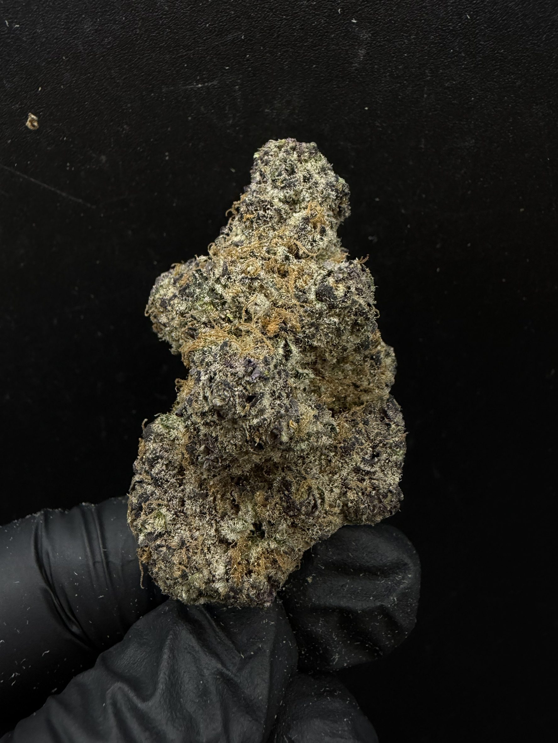 Tropical Sherbet