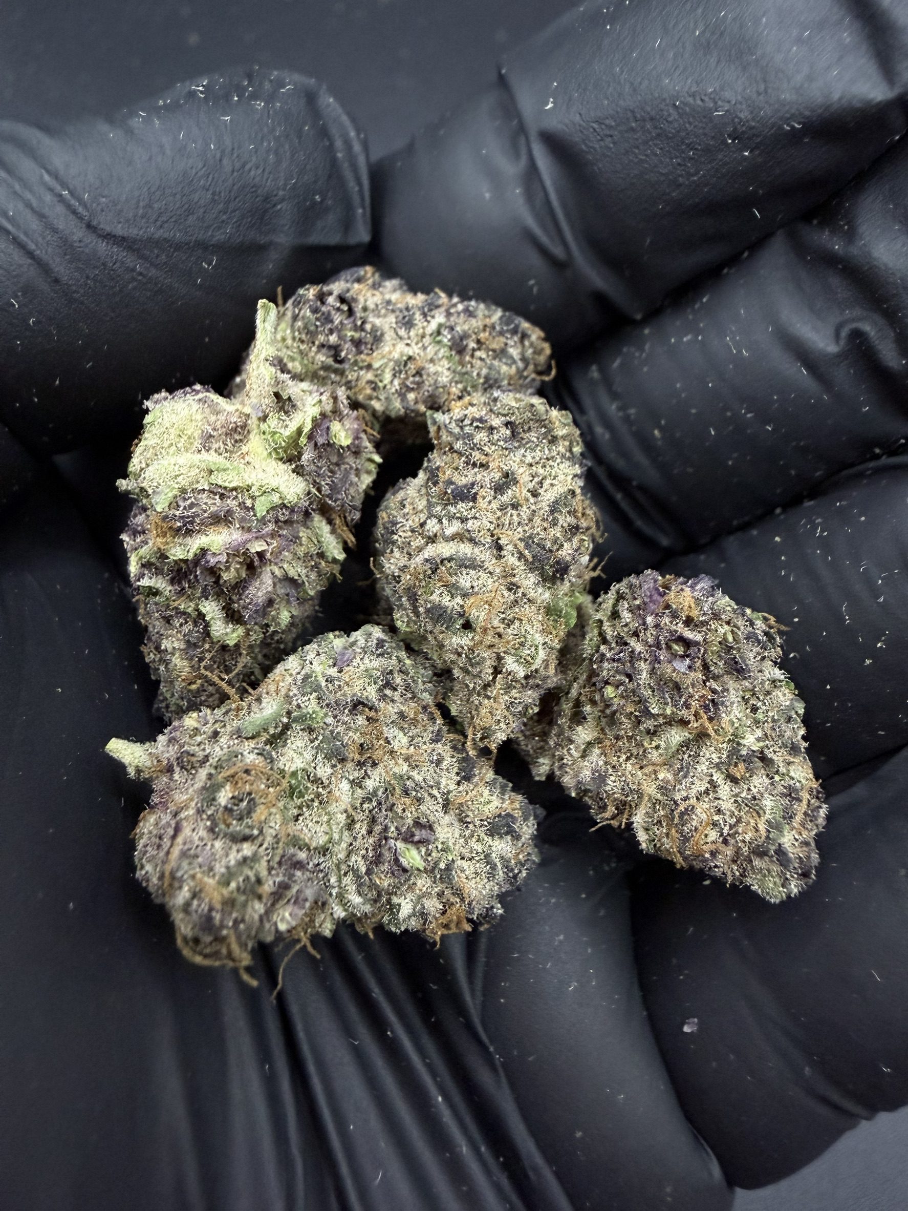 Tropical Sherbet