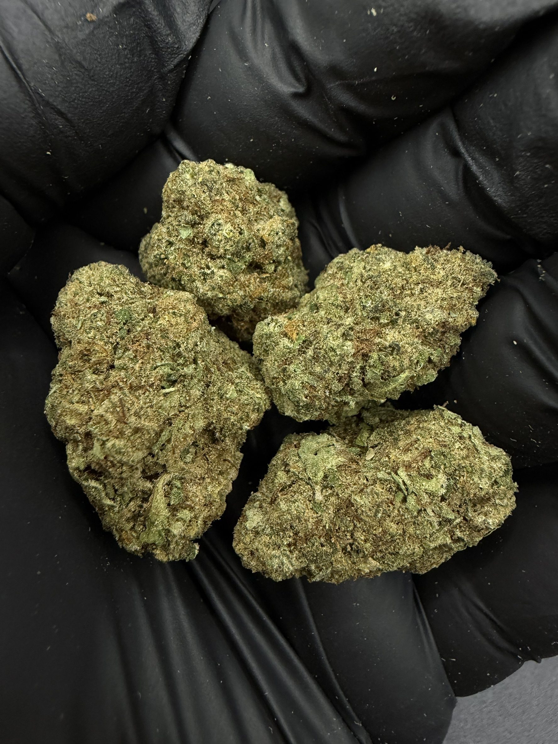 Tropicana Cherry Bx1