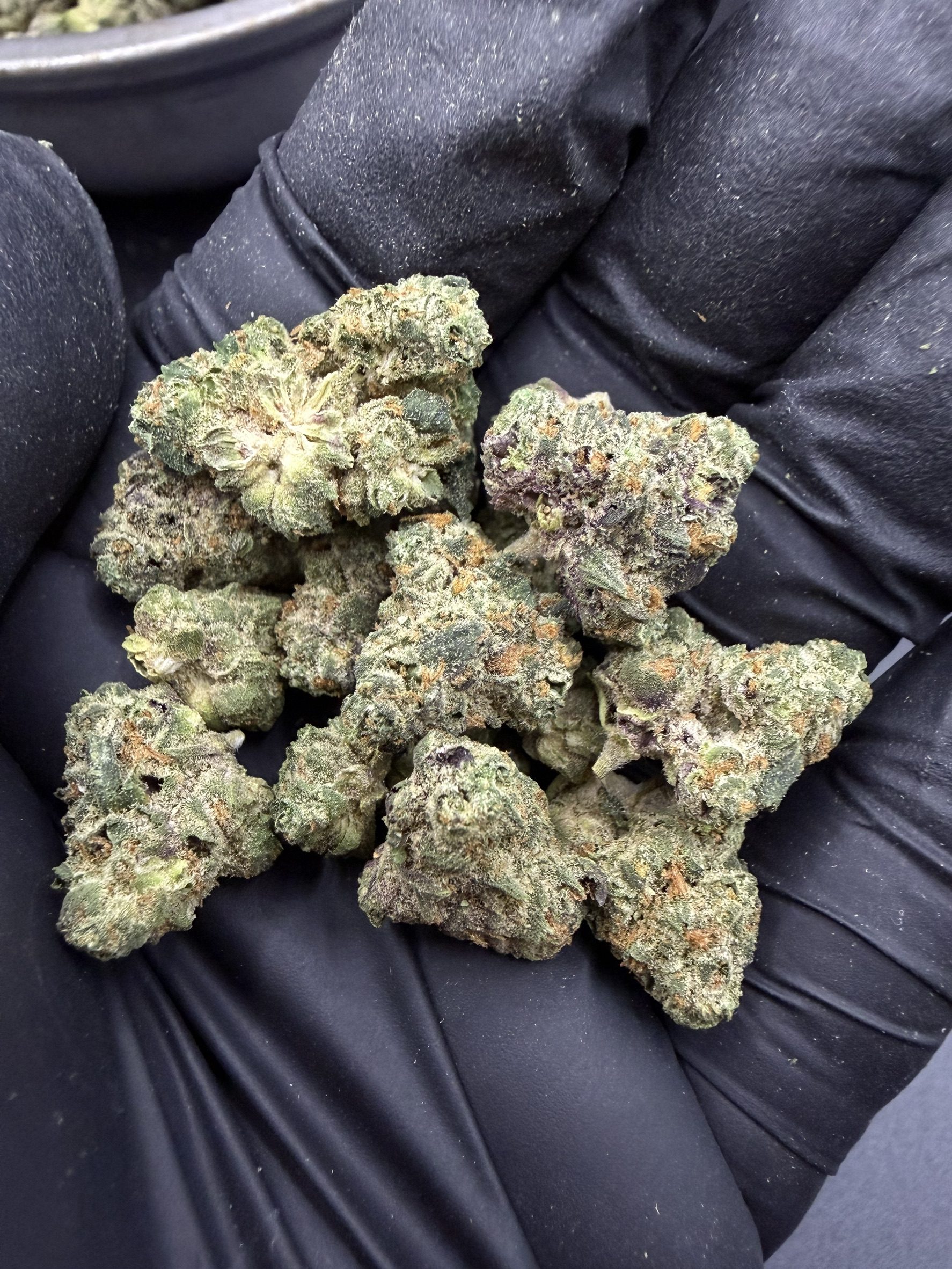 Apple Fritter