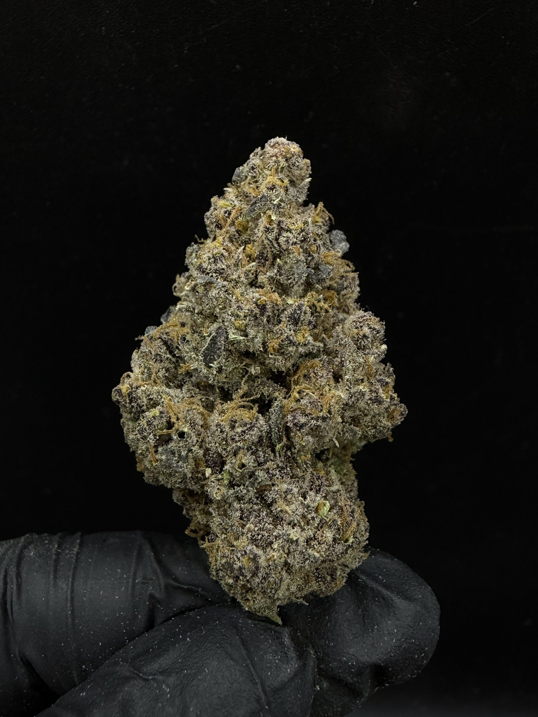 Razz Berry