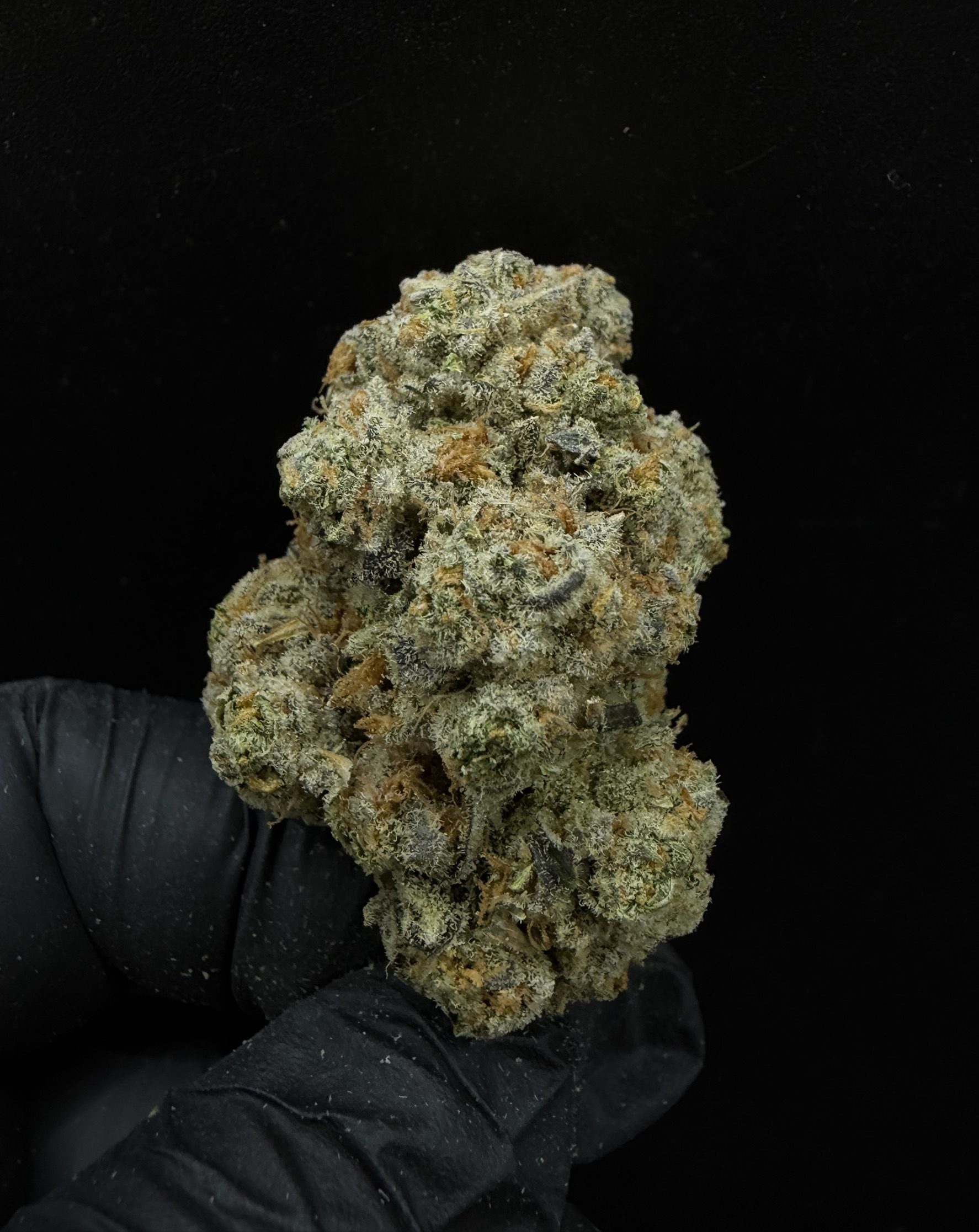 Sugar Fuel