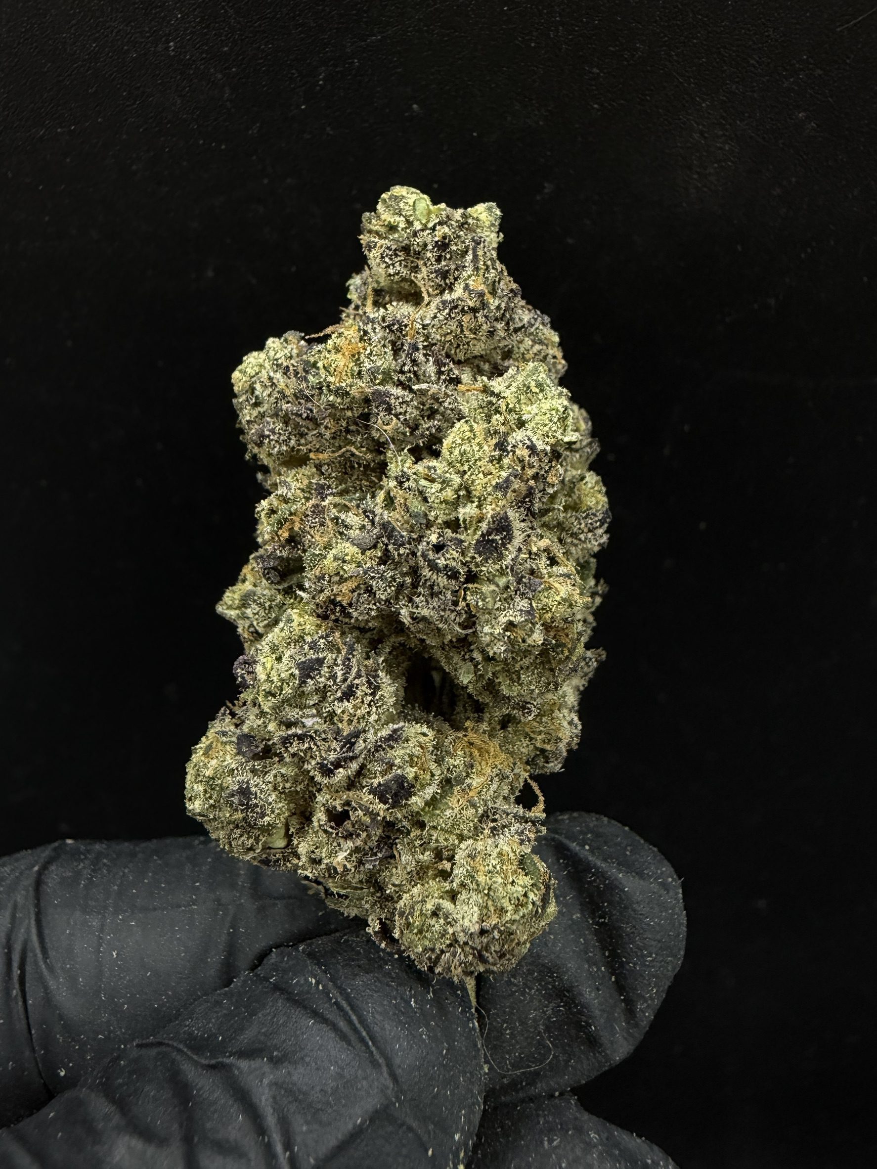 Sherb Cream Pie