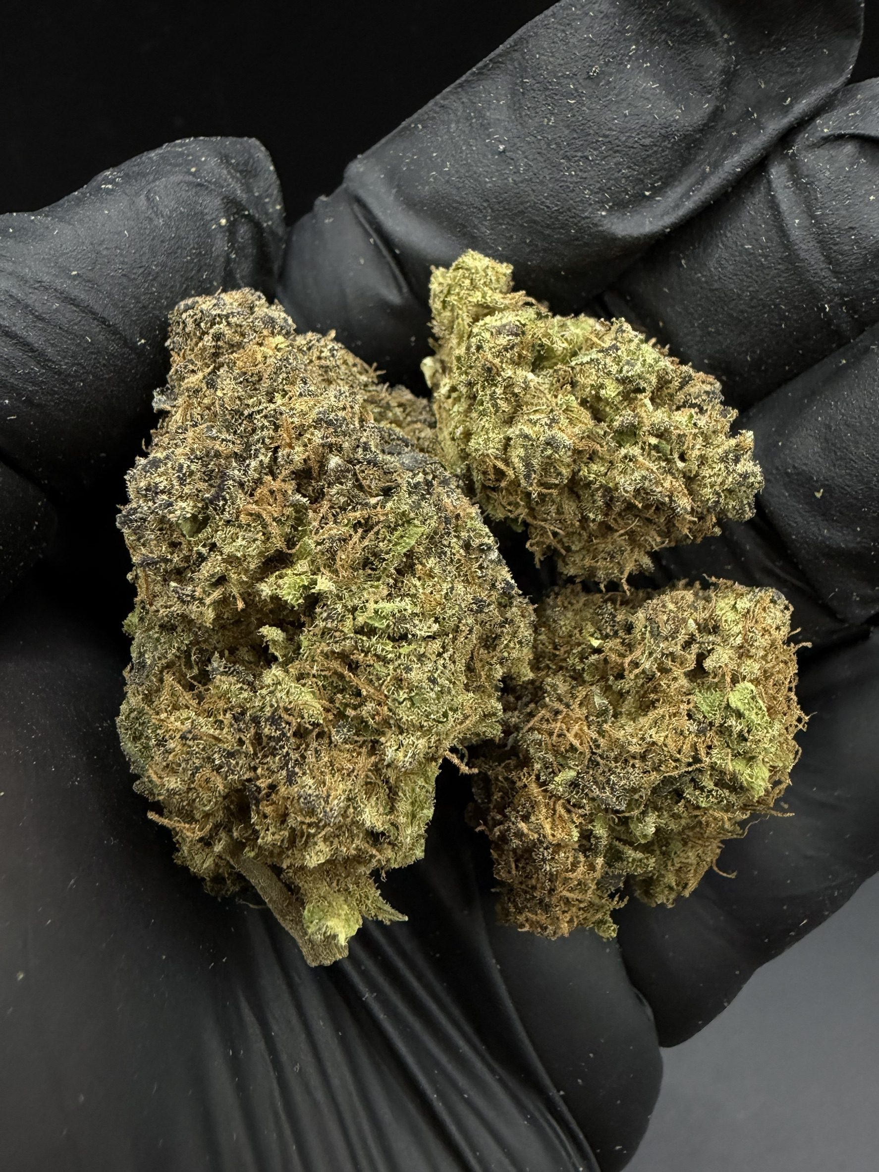 Mendo Sour