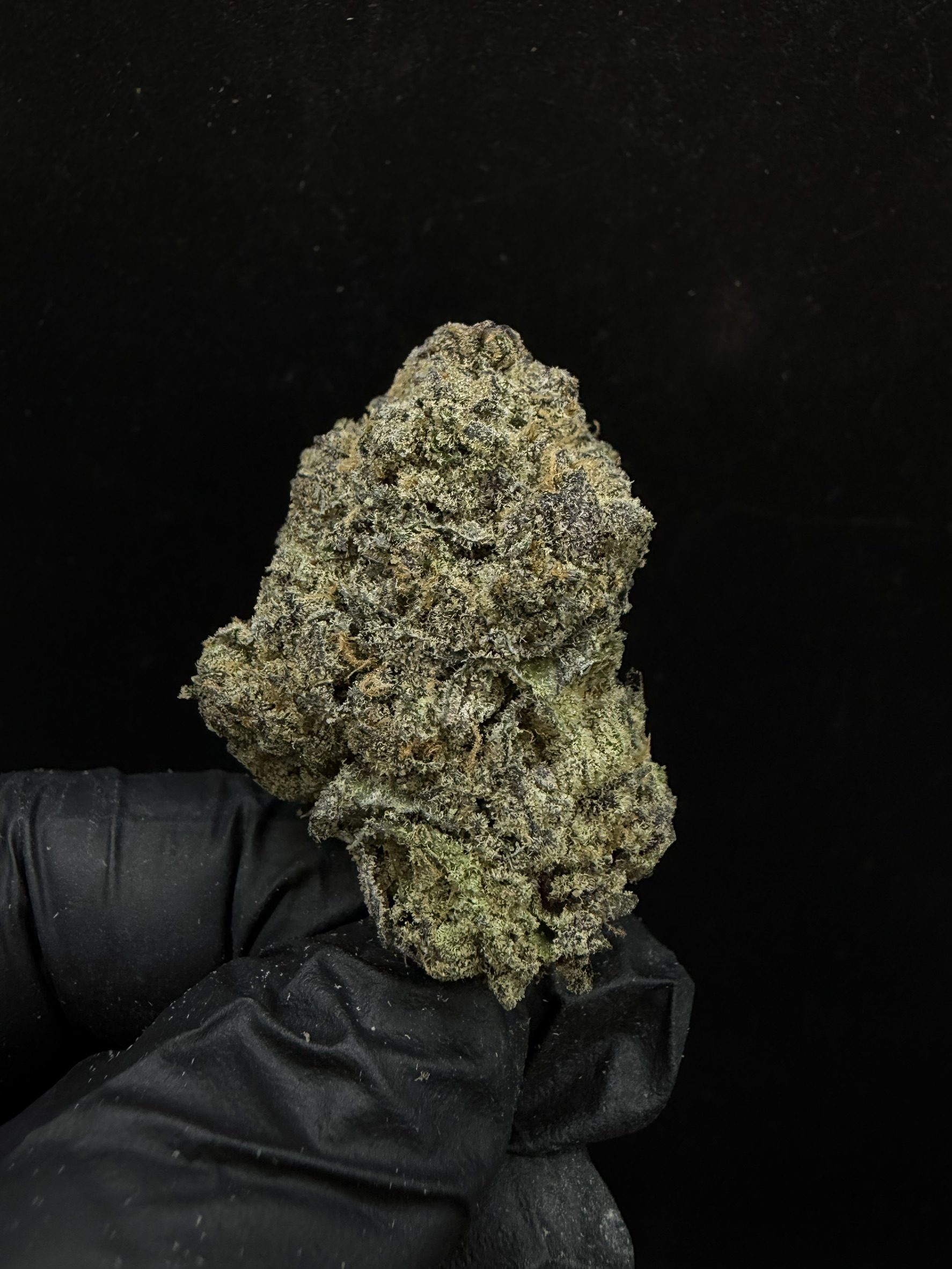 Platinum Sherbet