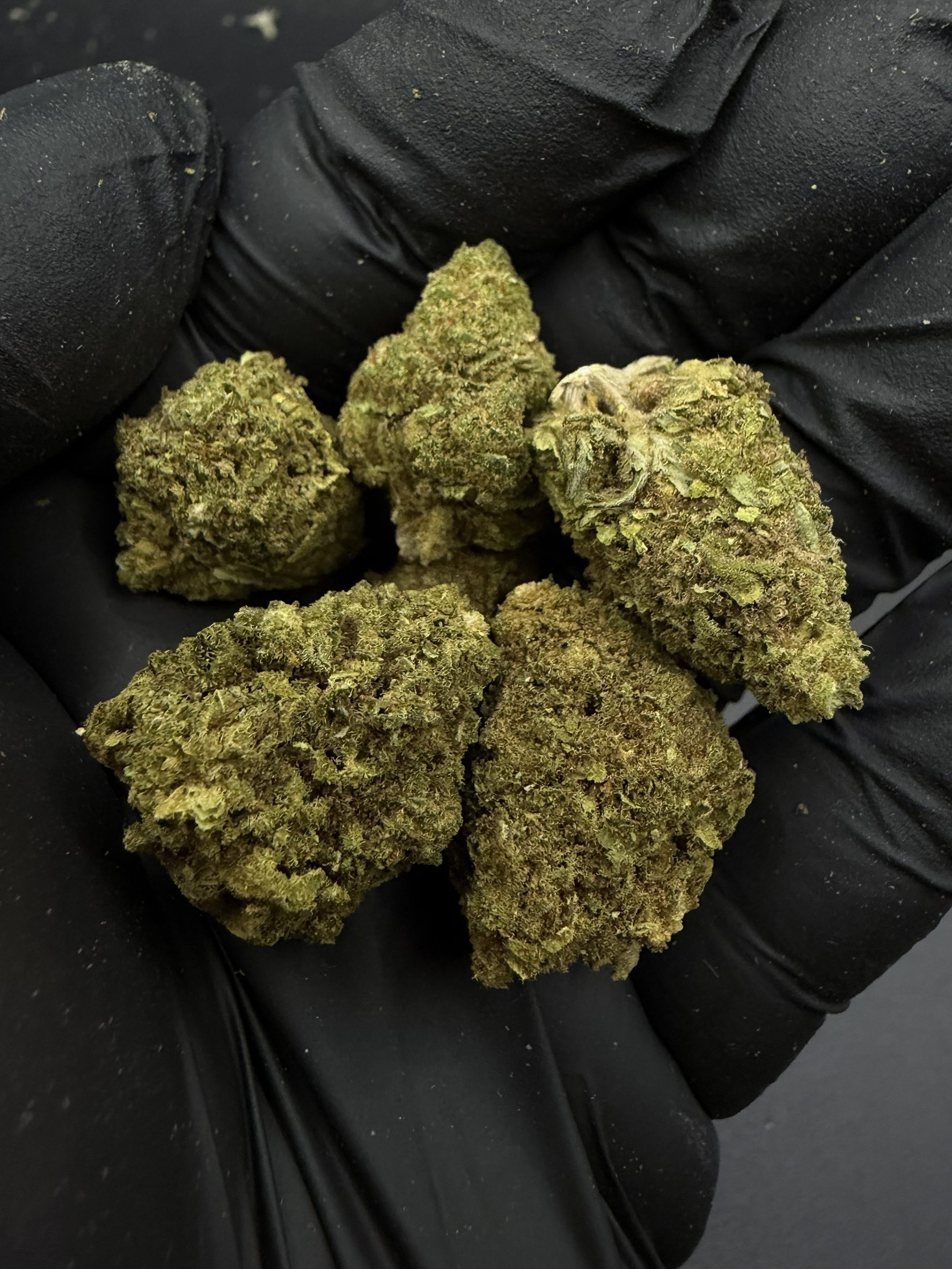 Afghan Kush