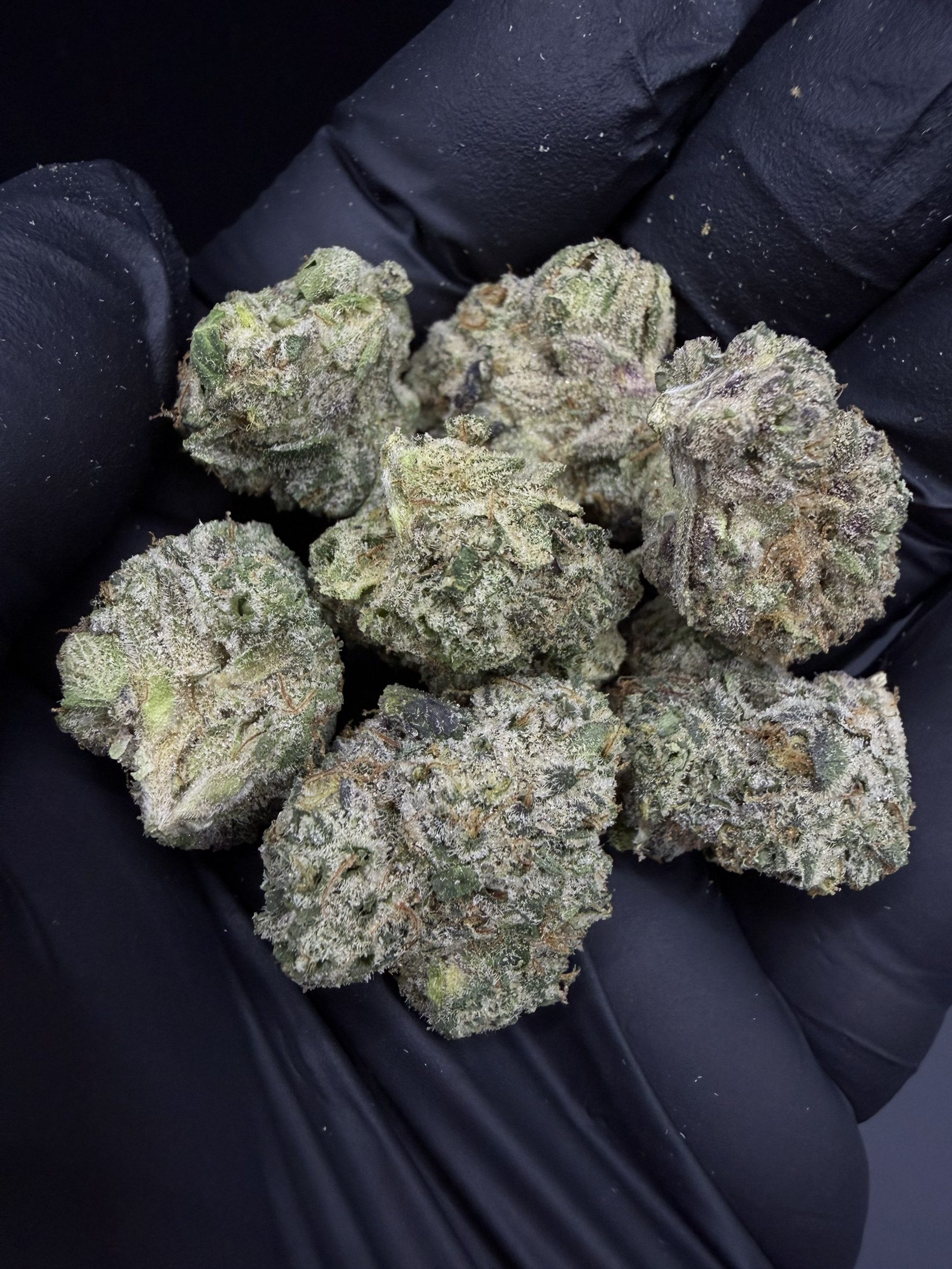 Orange OG