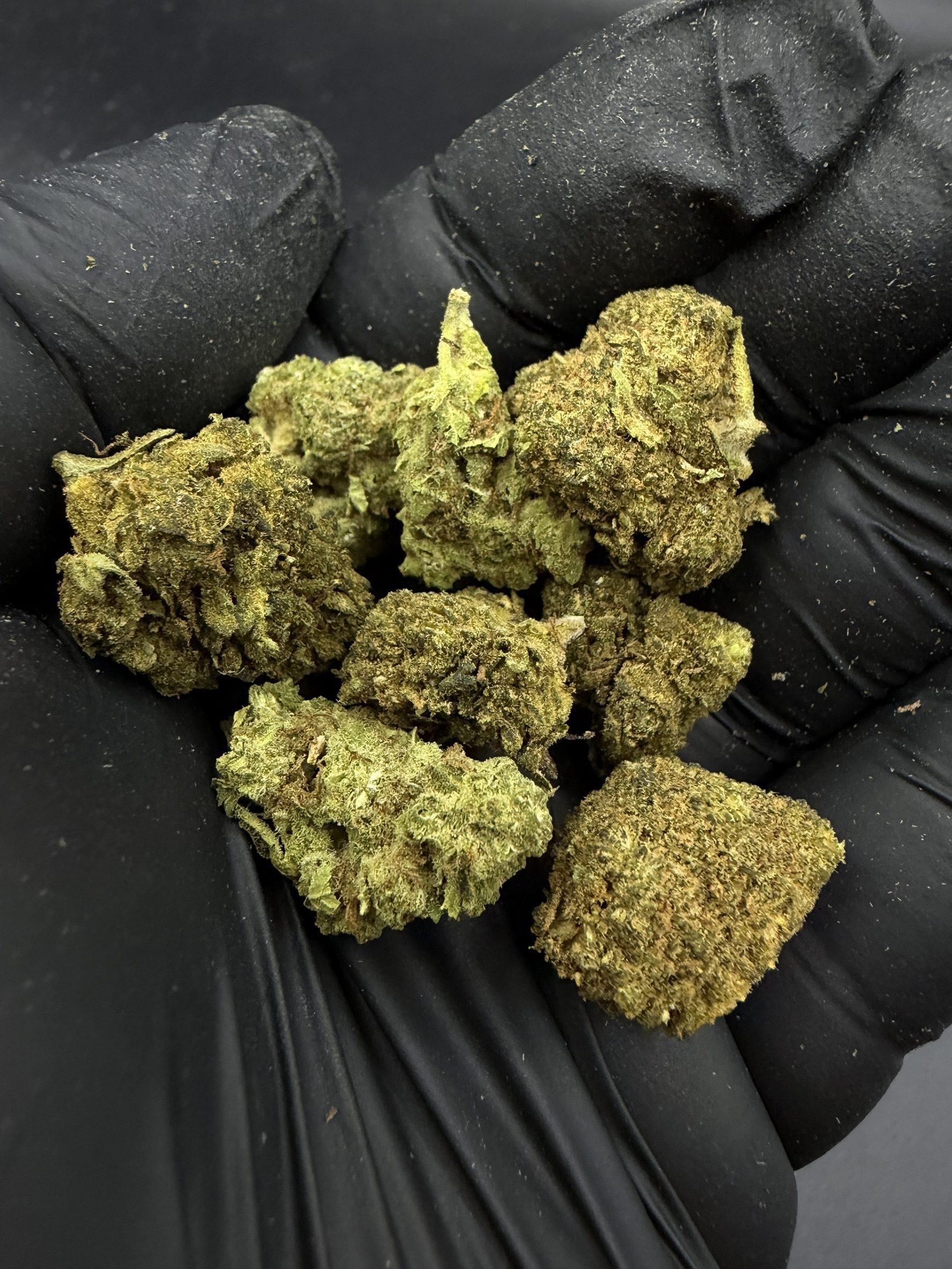 White Widow
