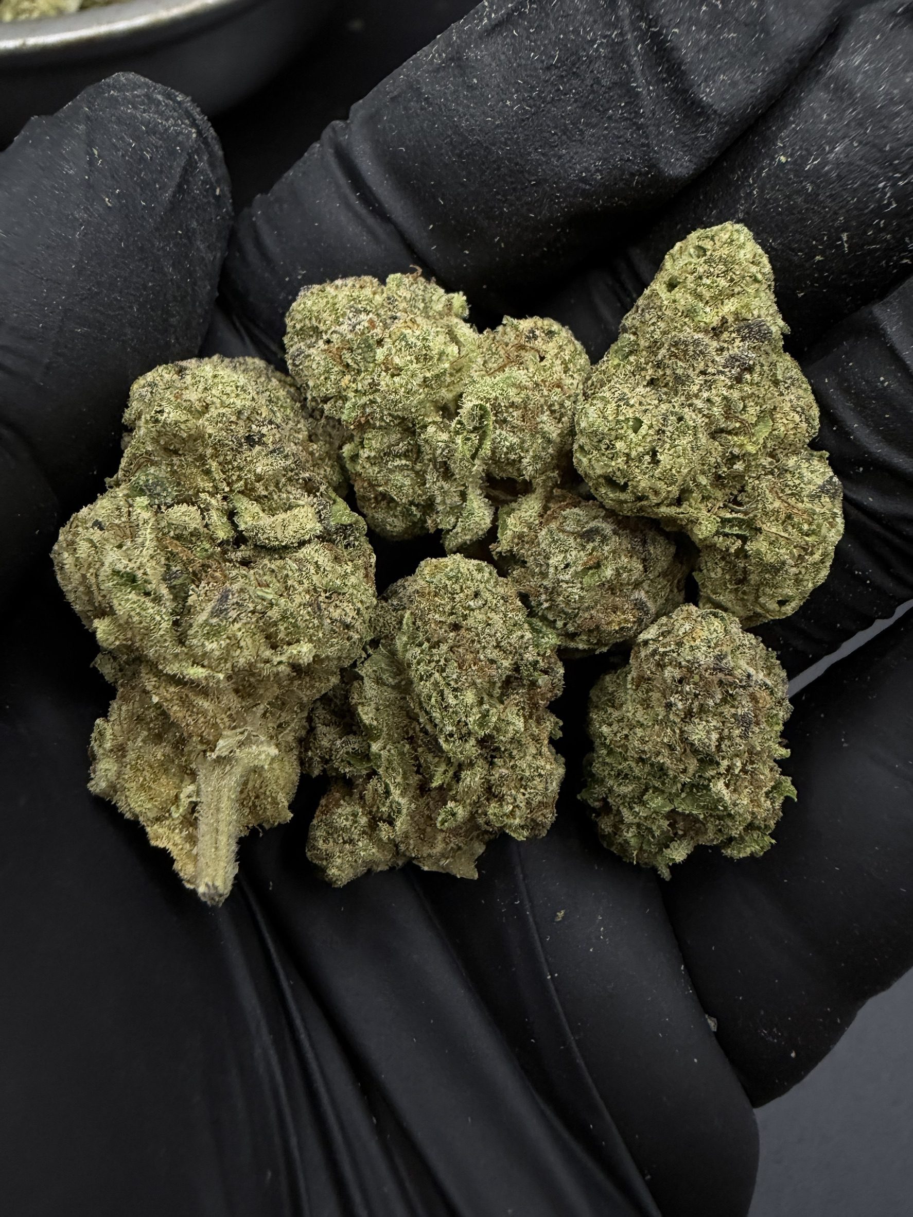 Orange Punch