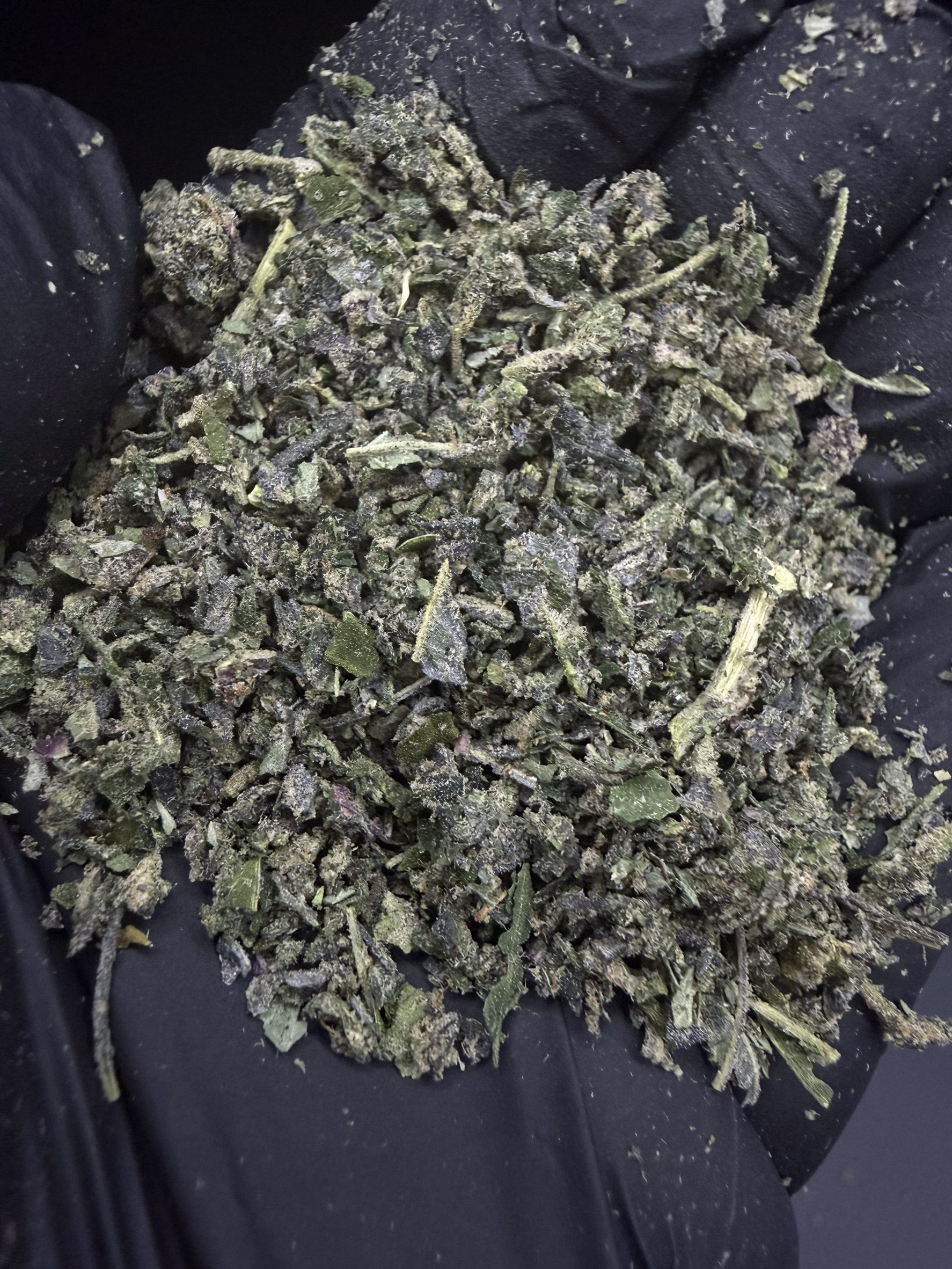 Trim King Sherb