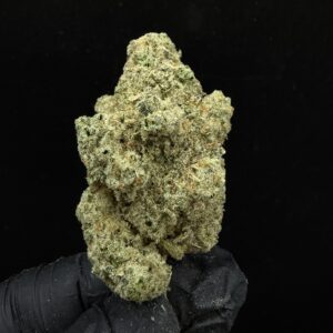 Alien Mints [ TC Grower ]