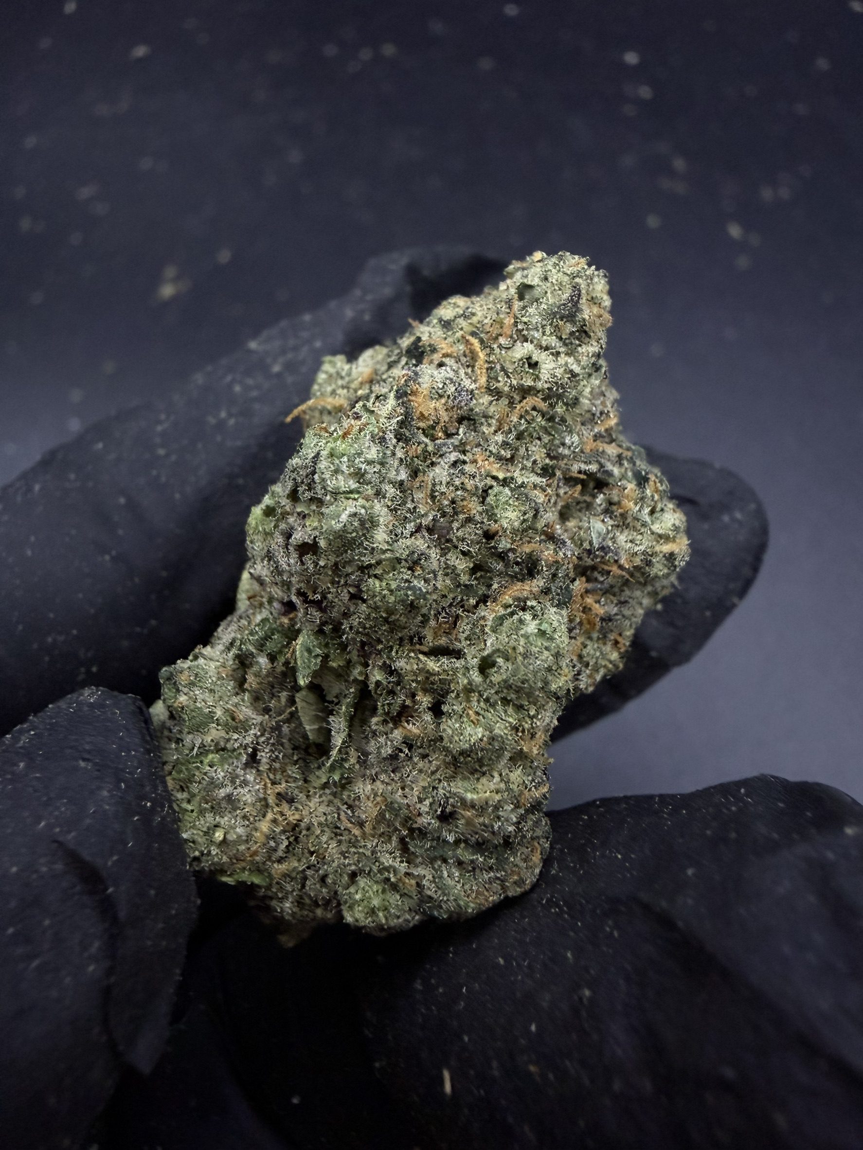 Designer Runtz