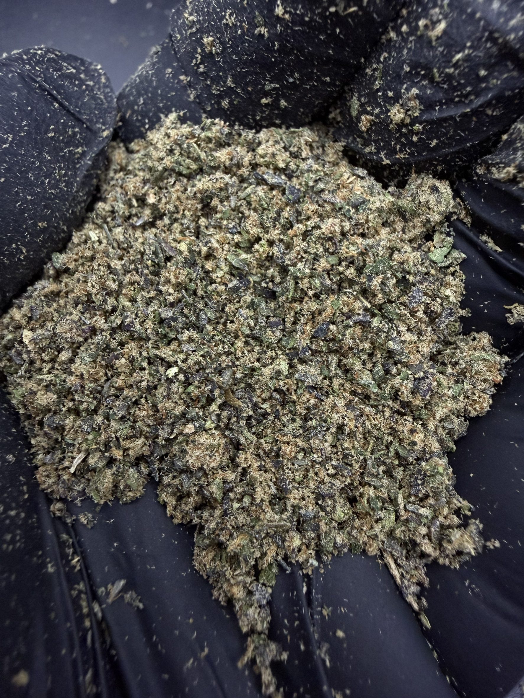 Powder