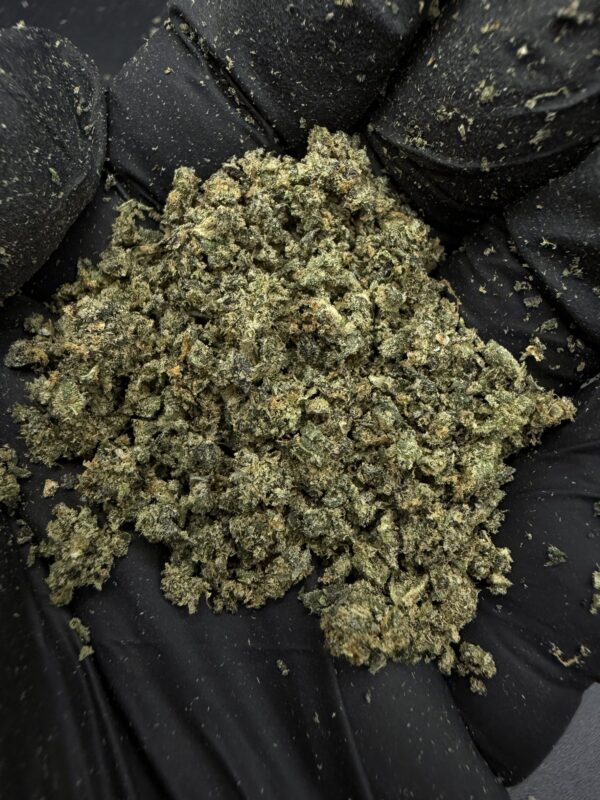 Powder [ Miami Madness ] – Bangkok Kush