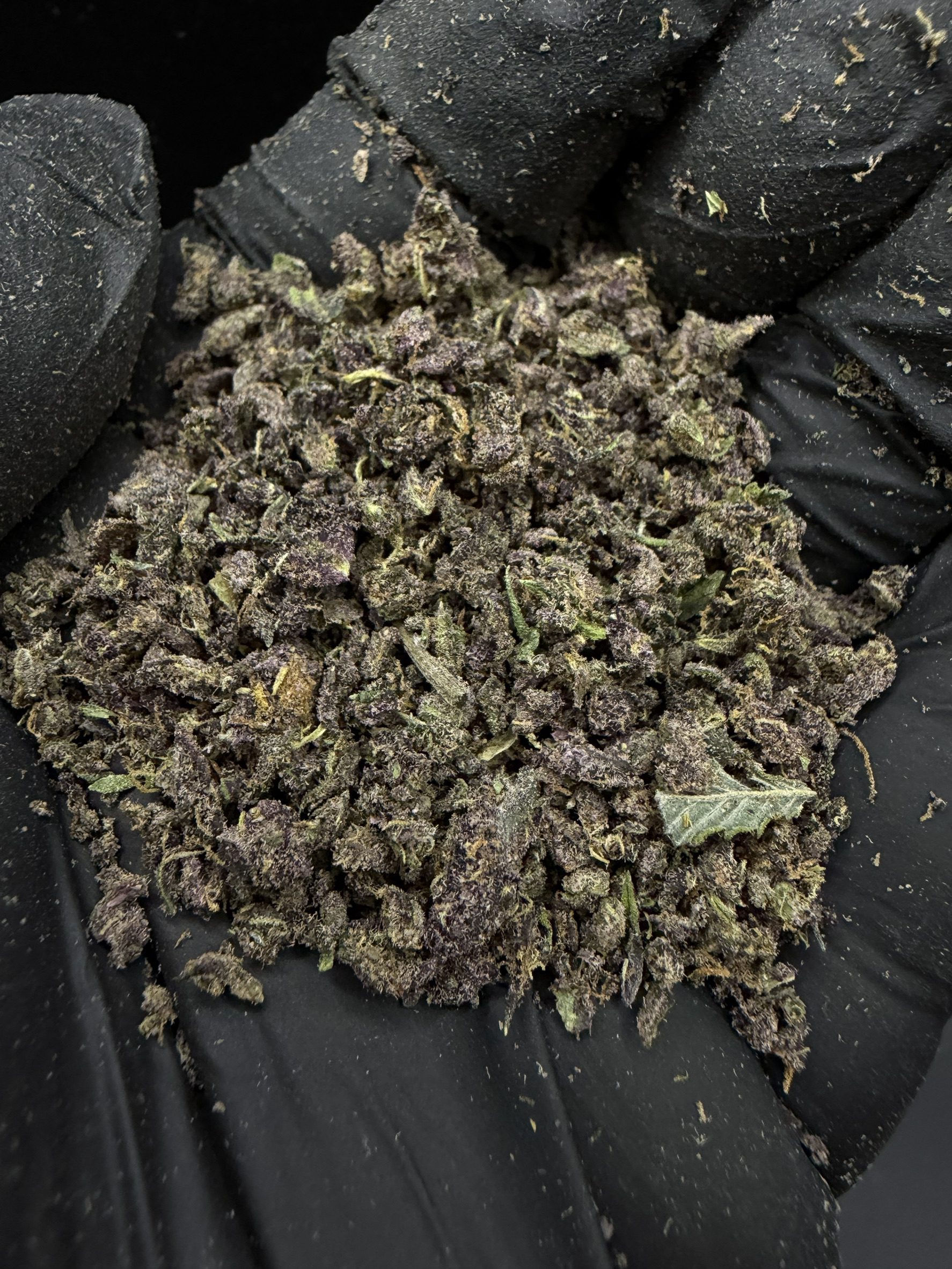 Trim Tropicana Cherry