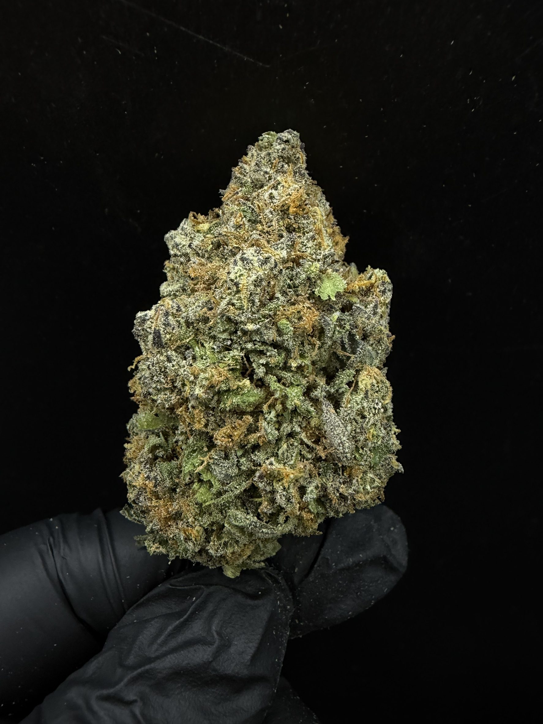 Dynamite Diesel