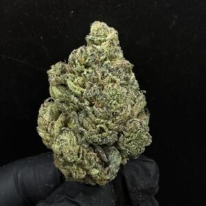 Zkittle Pie