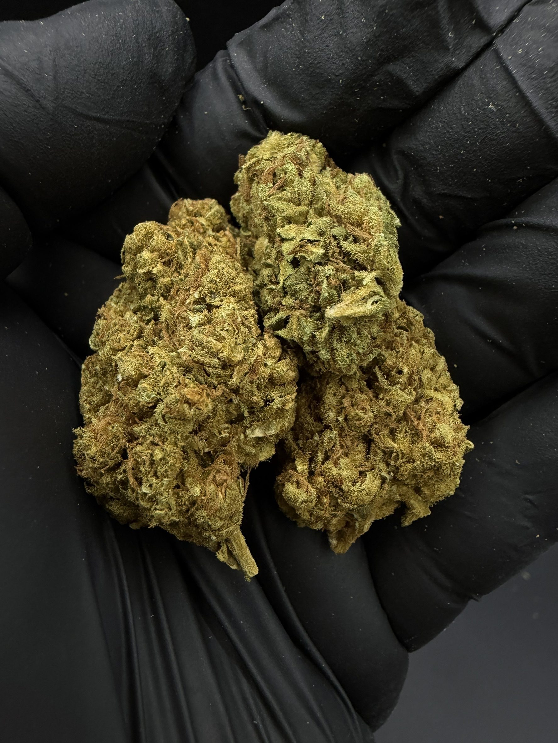 Green Gelato