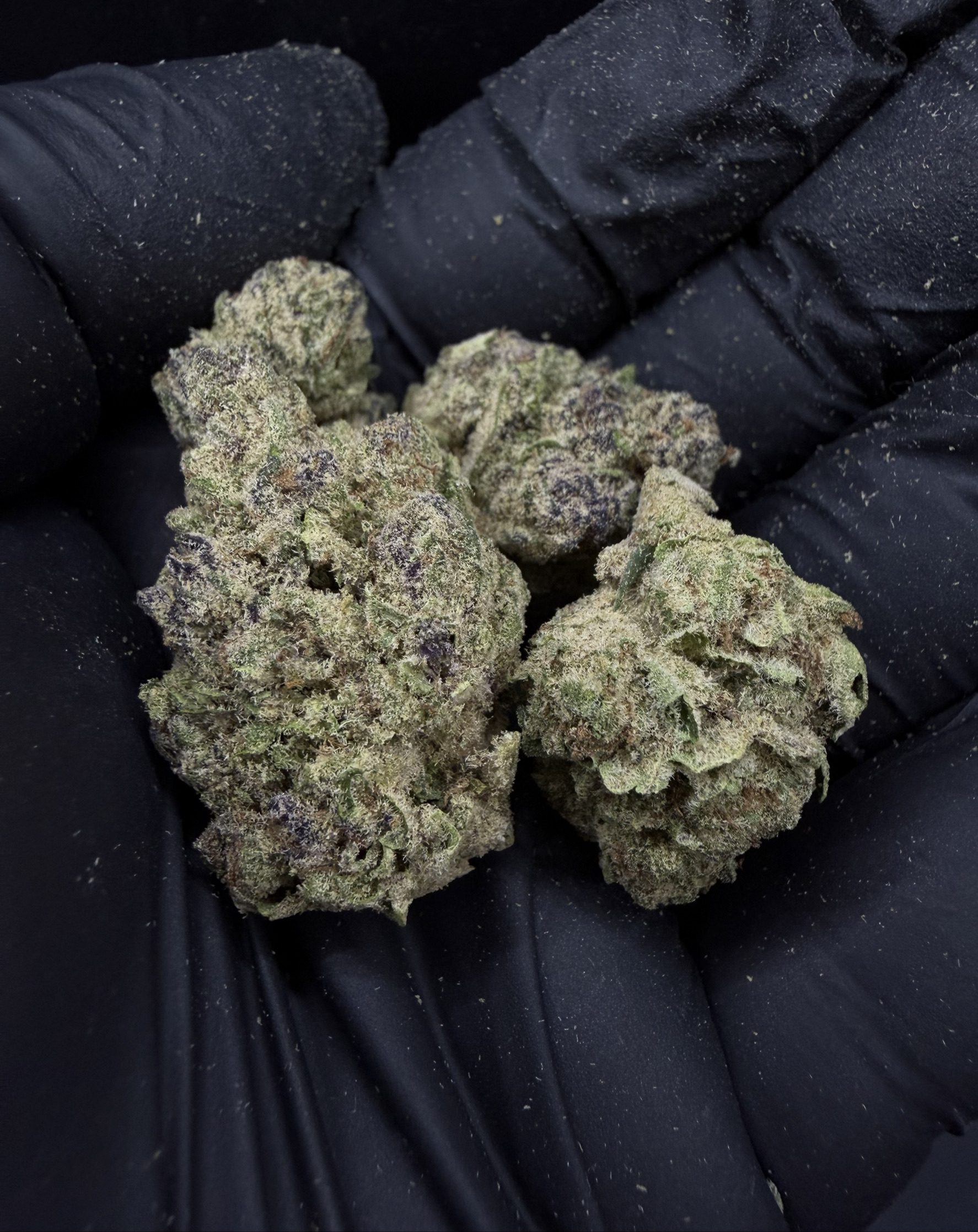 Blackout Cherries