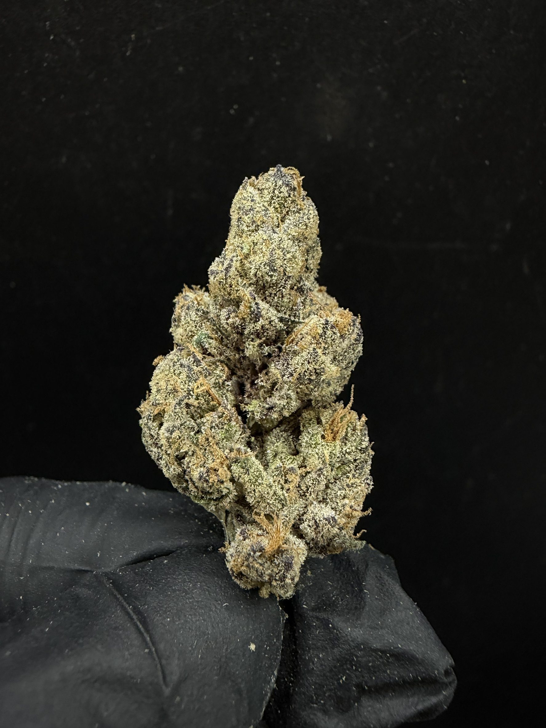 Crunch Berry