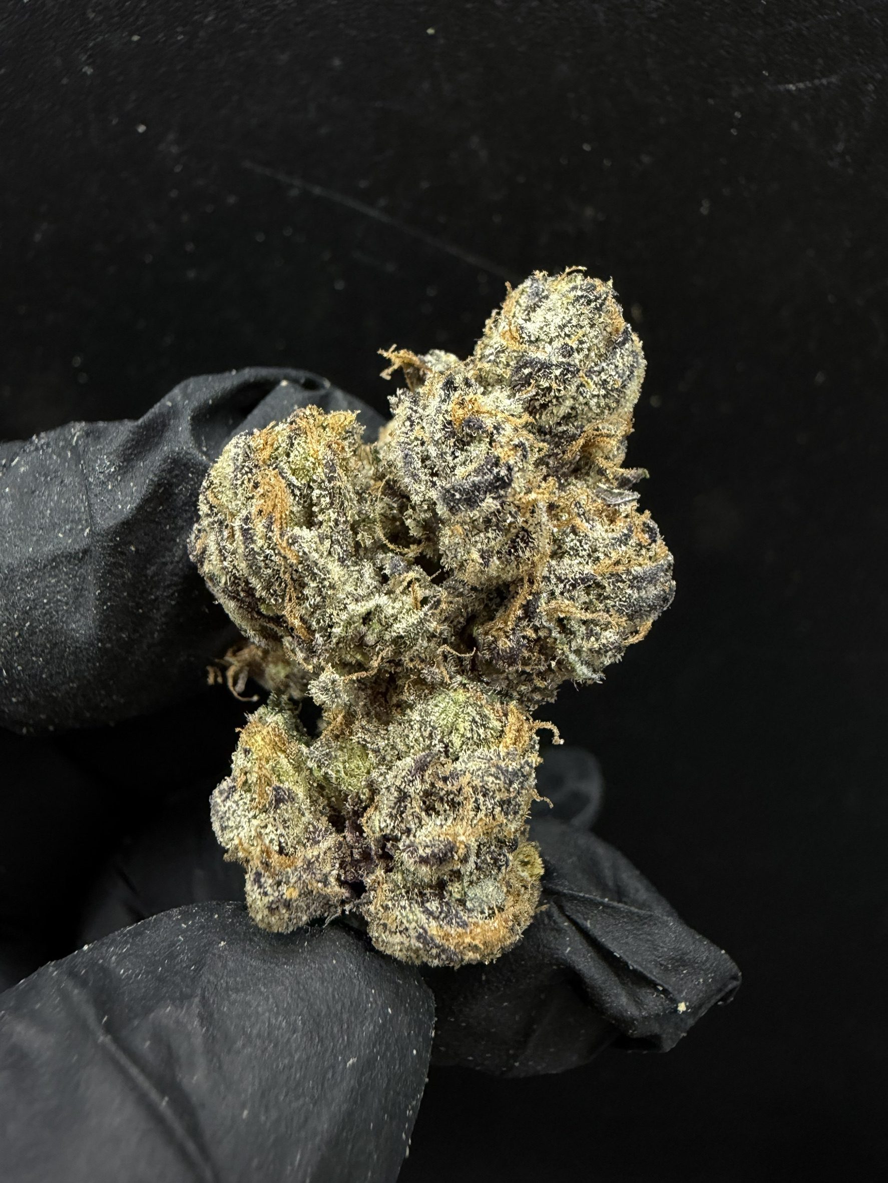 Crunch Berry