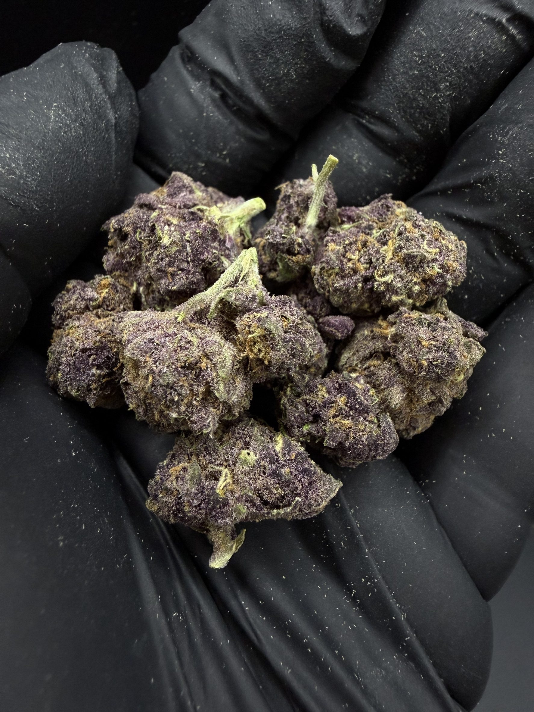Tropicana Cherry