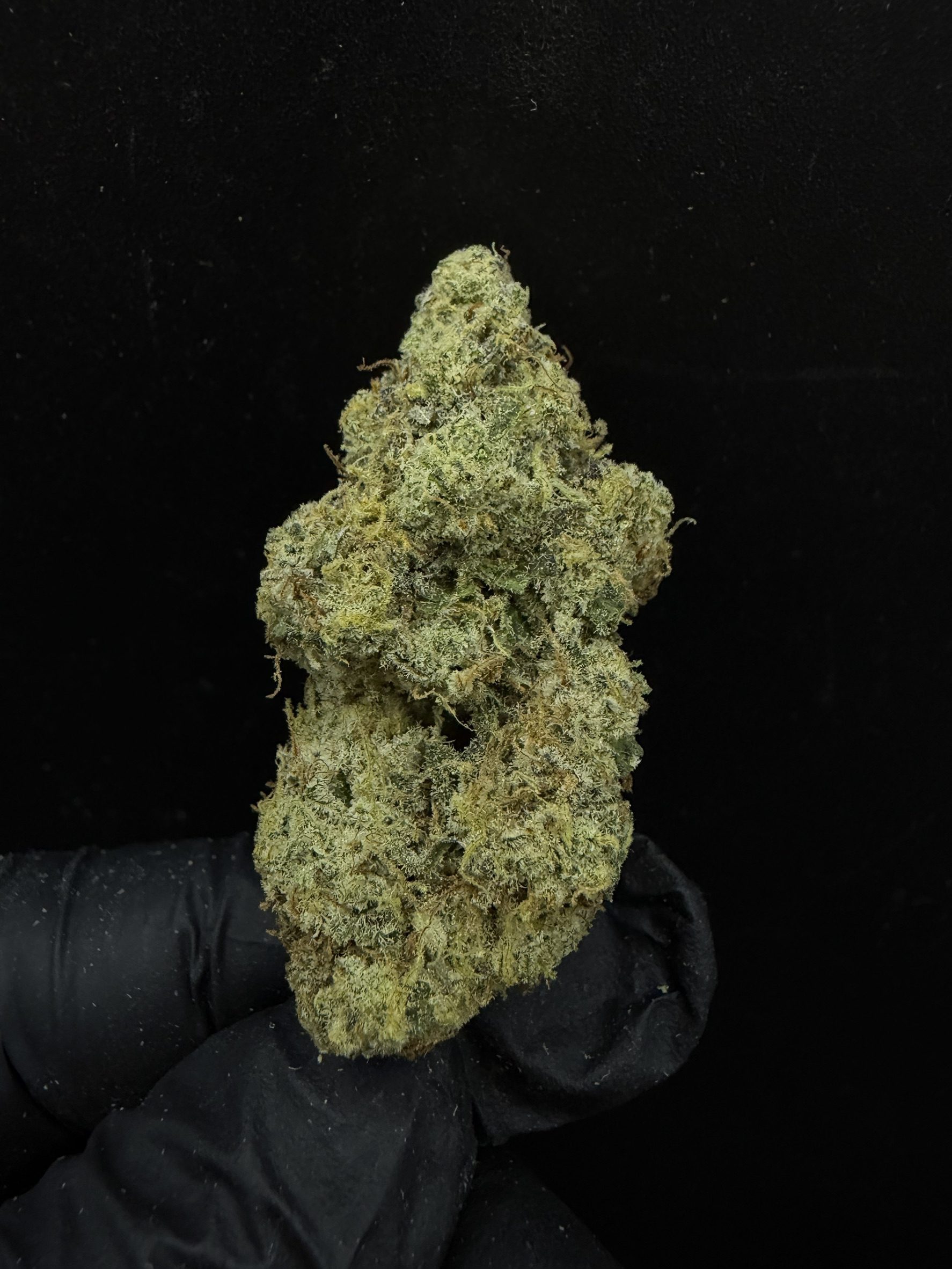 Chronic Cake