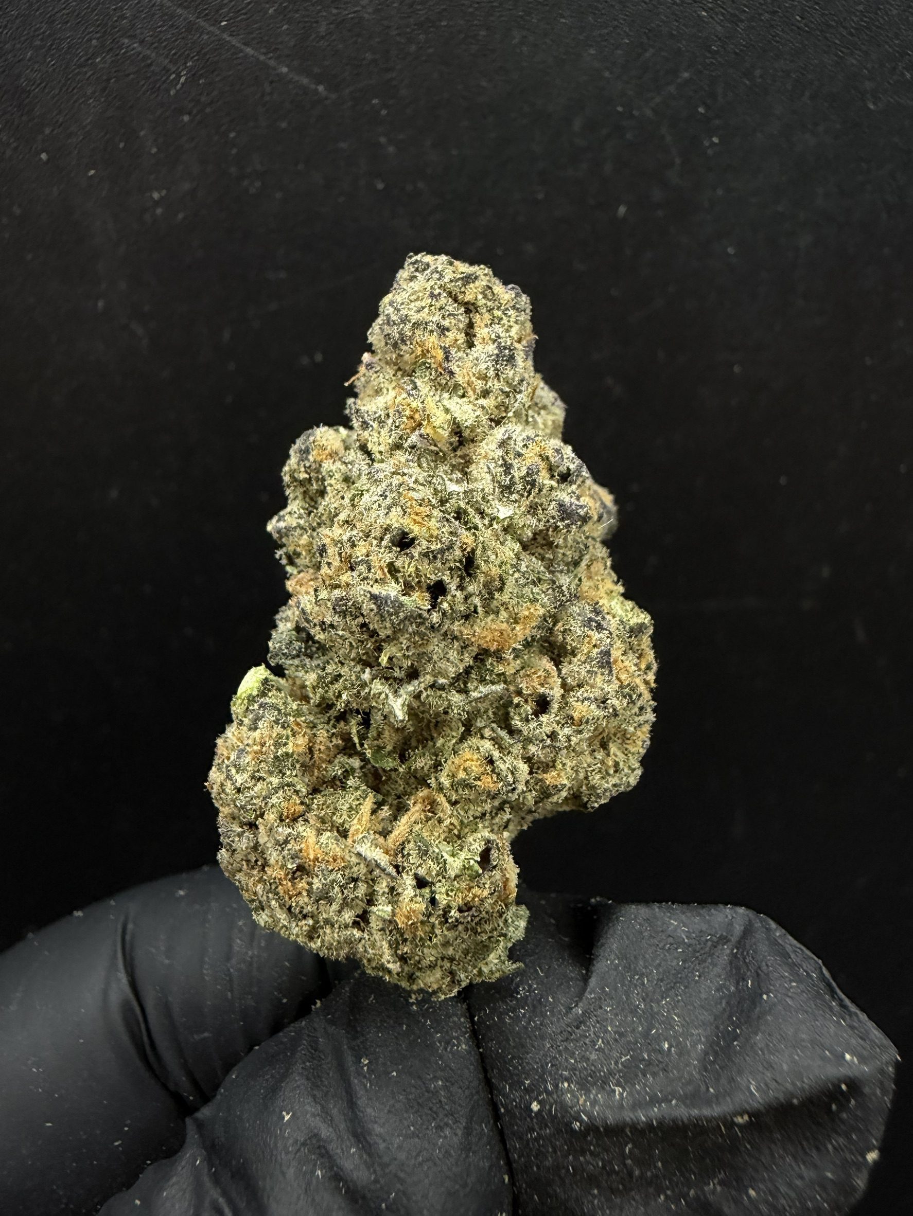 Banana Fritter