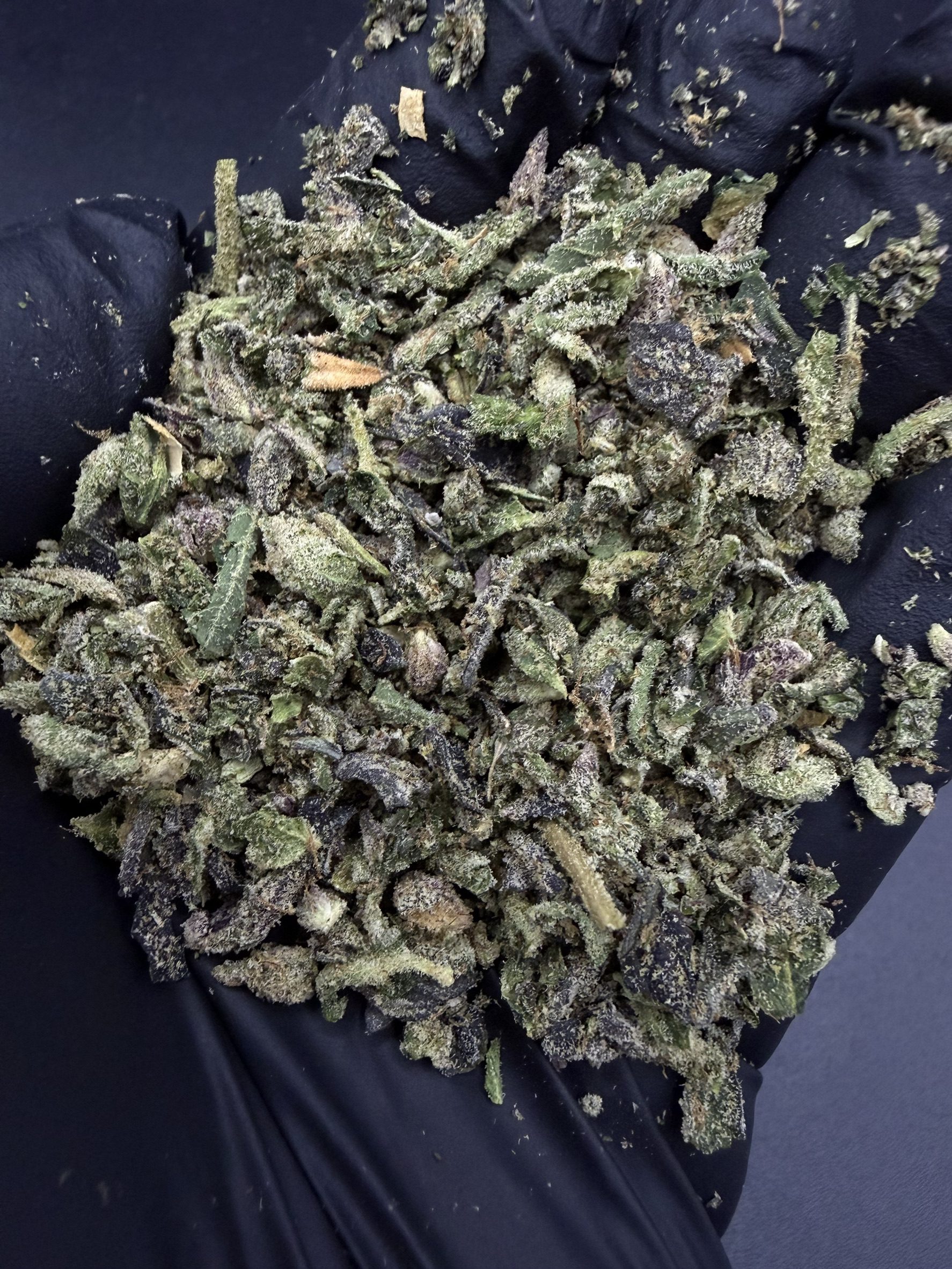 Trim Pink Lady